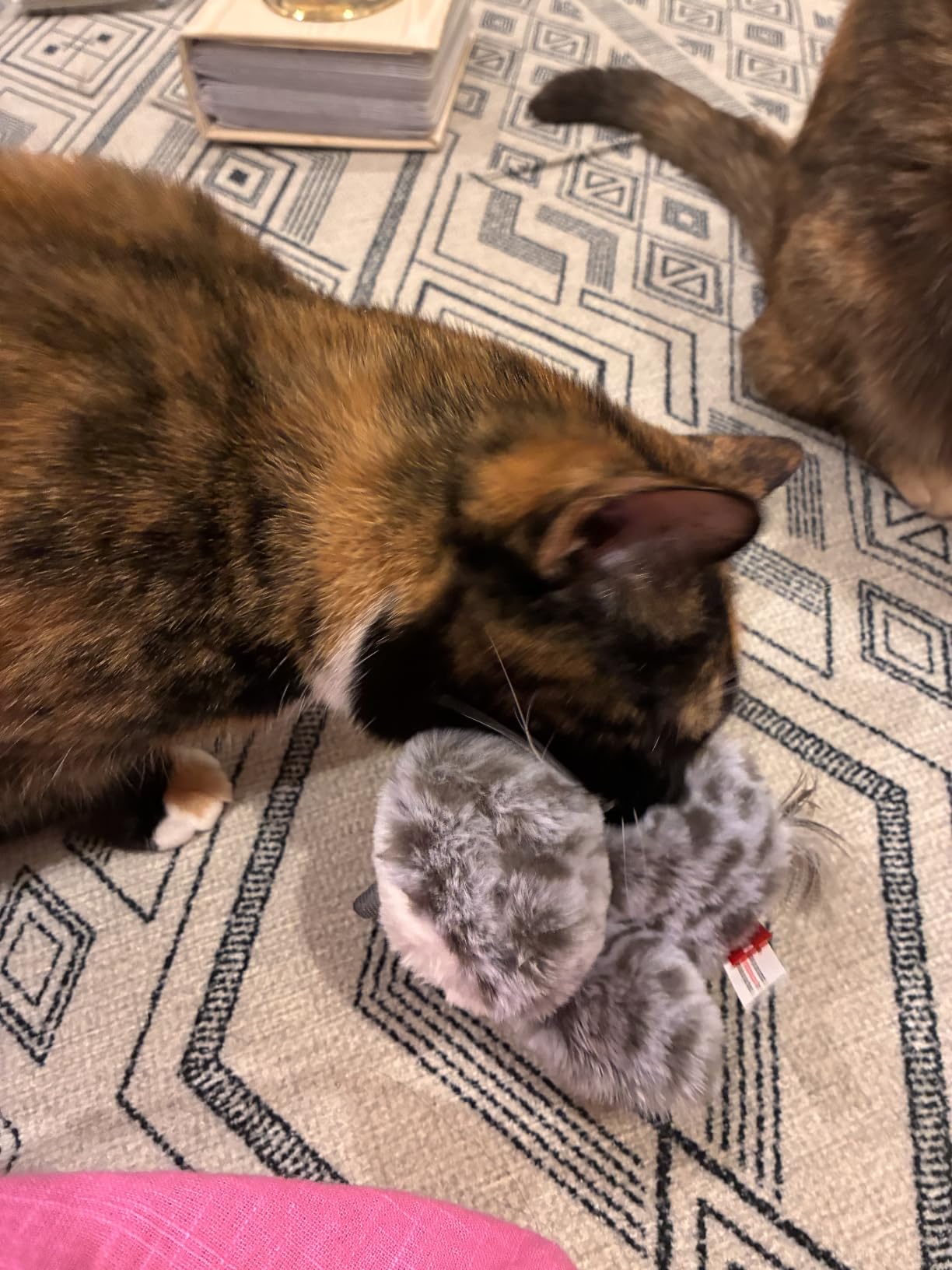 Potaroma Cat Toys Flapping Bird (No Flying), Lifelike Sandpiper Chirp Tweet, Rechargeable Touch Activated Kitten Toy Interactive Cat Exercise Toys for All Breeds Cat Kicker Catnip Toys 4.0