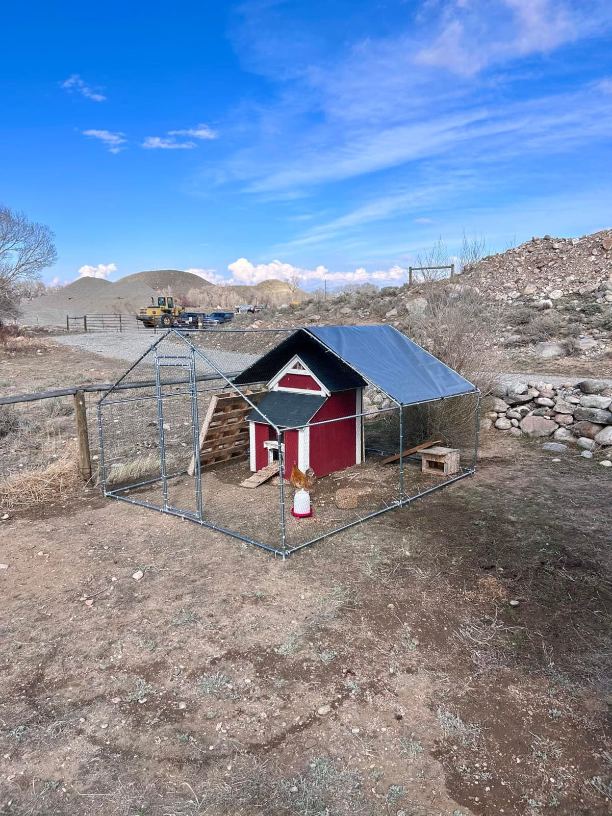 HITTITE Large Metal Chicken Coop with Run, 19.19 x 9.84 x 6.56 ft Walk in Poultry Cage Chicken Run Pen, Outdoor Chicken Runs for Yard with Waterproof & Anti-UV Cover customer photo 2