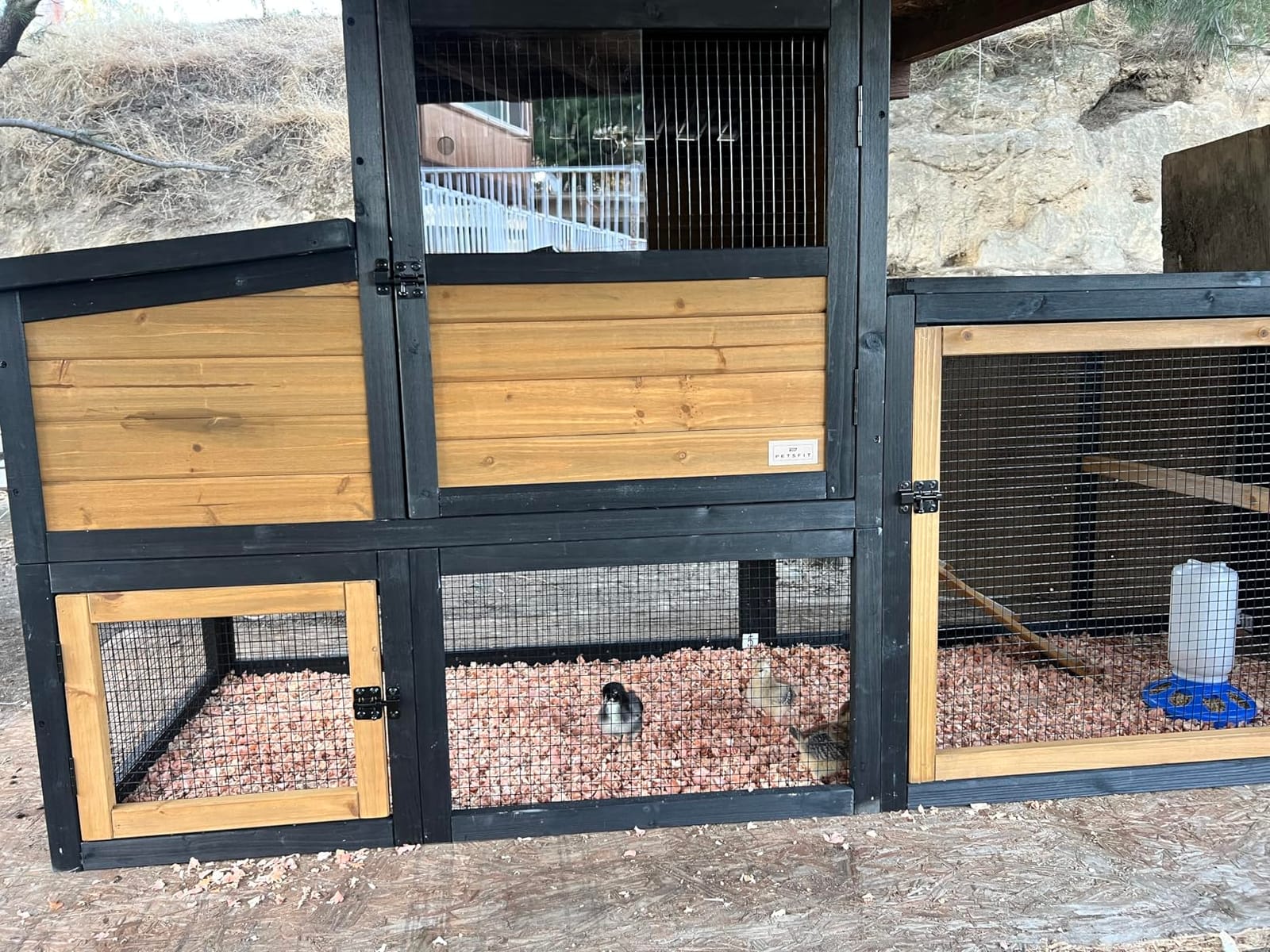 Petsfit Large Chicken Coop with Upgraded Perches, Wooden Outdoor Chicken Cage with Large Nesting Box, Weatherproof Open Asphalt Roof &Removable Bottom, Duck House, Rabbit Hutch customer photo 1