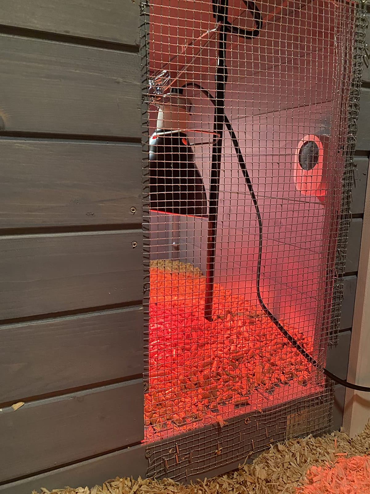 Petsfit Large Chicken Coop with Upgraded Perches, Wooden Outdoor Chicken Cage with Large Nesting Box, Weatherproof Open Asphalt Roof &Removable Bottom, Duck House, Rabbit Hutch customer photo 2