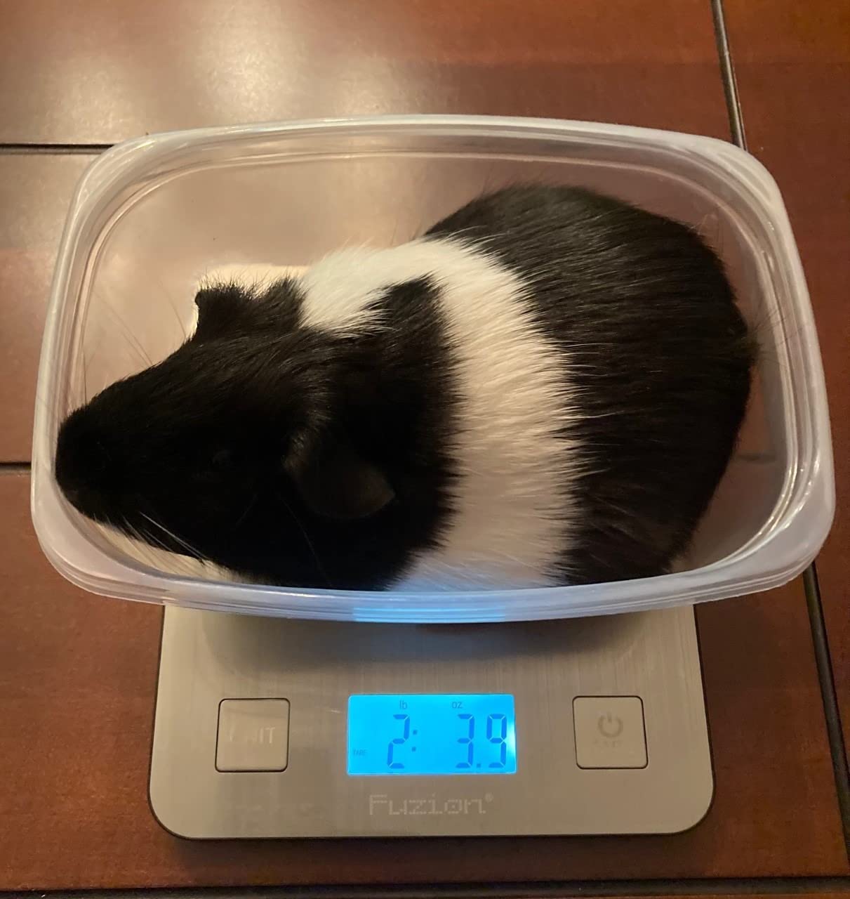 Fuzion Food Kitchen Scale with Nutritional Calculator, 6.6 lb / 3 kg customer photo 1