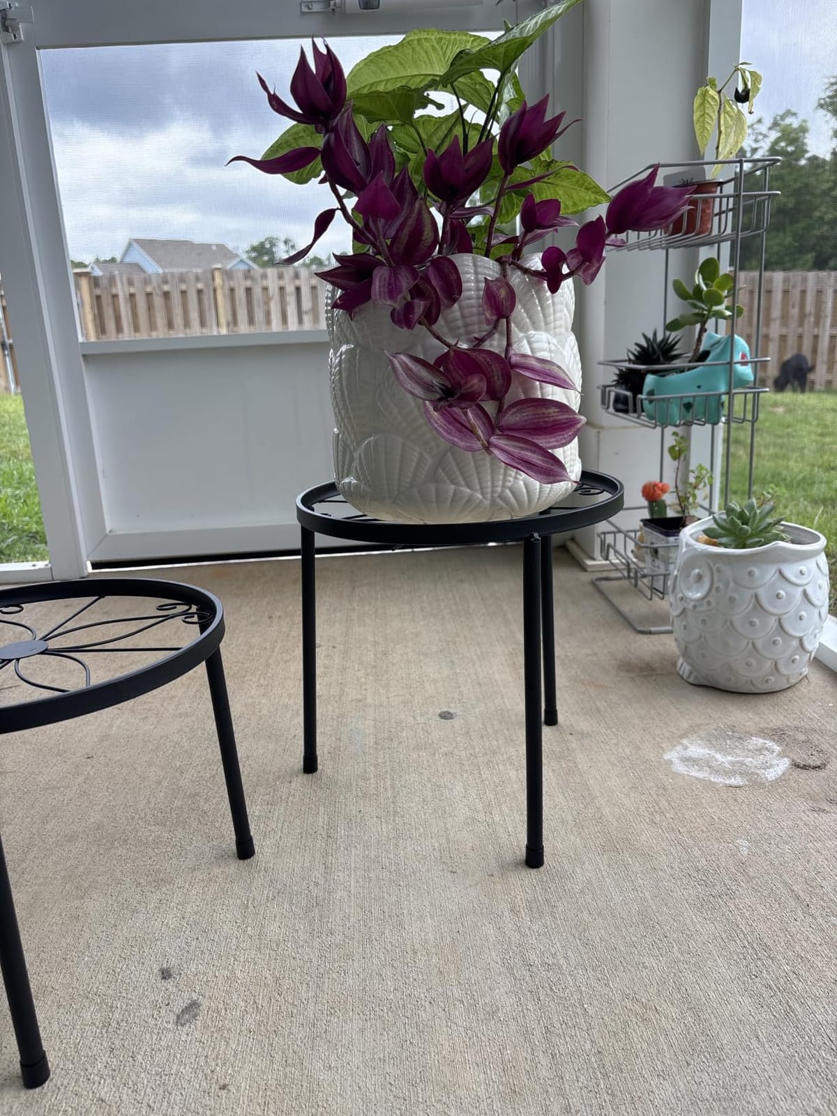 Linpla 5-Pack Decent Metal Plant Stand Indoor Outdoor Low Plant Shelf customer photo 1