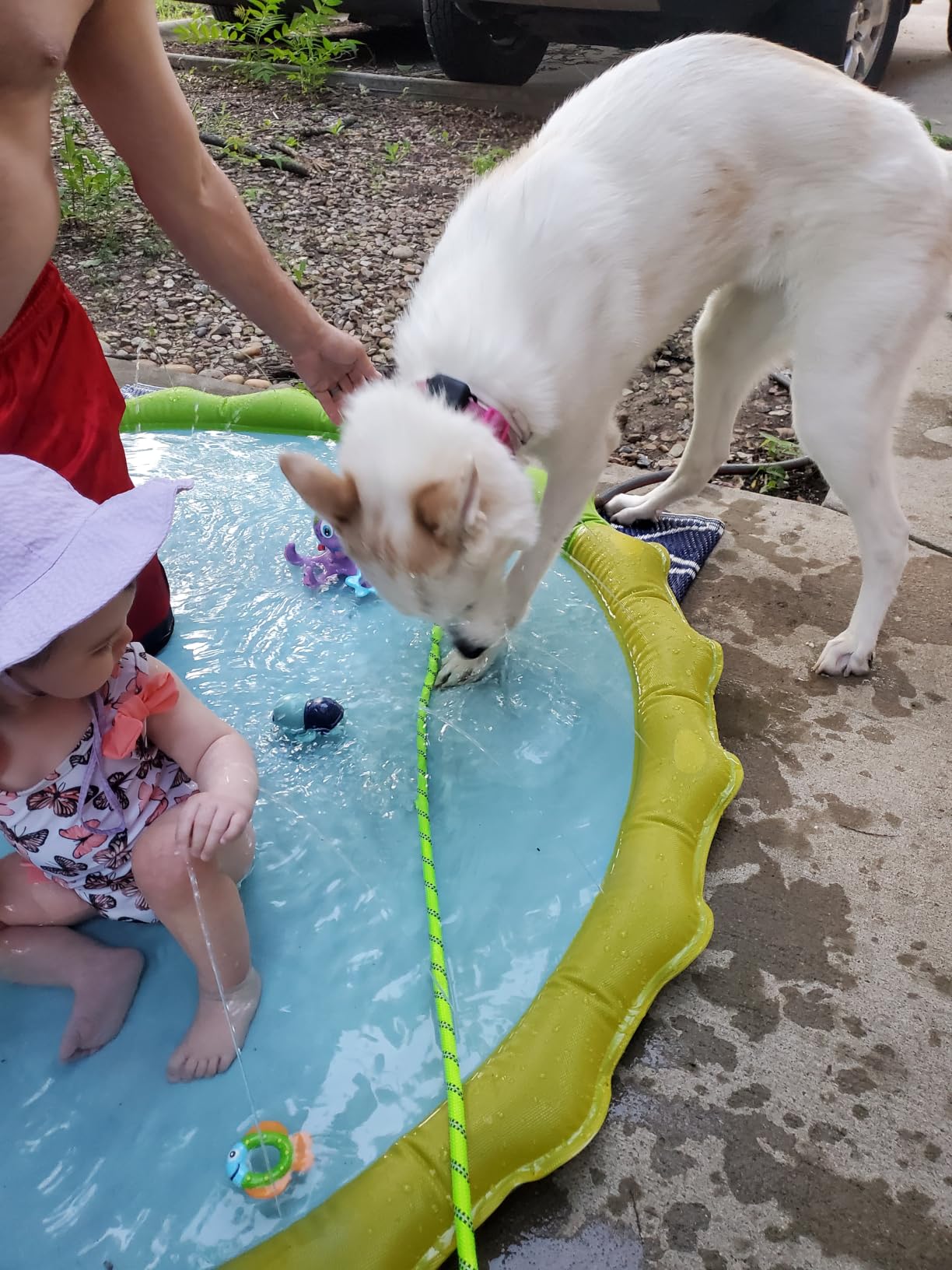 Jasonwell Splash Pad Sprinkler for Kids Splash Play Mat Outdoor Water Toys Inflatable Splash Pad Baby Toddler Pool Boys Girls Children Outside Backyard Dog Sprinkler Pool Age 1 2 3 4 5 6 7 8 9 M customer photo 1