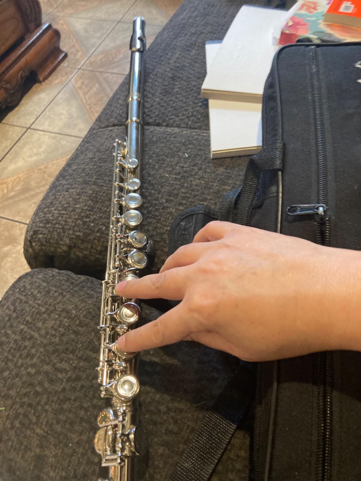 POGOLAB Closed Hole C 16 Keys Flute for Student Beginner, Flute Instrument with Cleaning Kit, Carry Bag, Strap, Probe Rod, Gloves (Nickel) customer photo 2