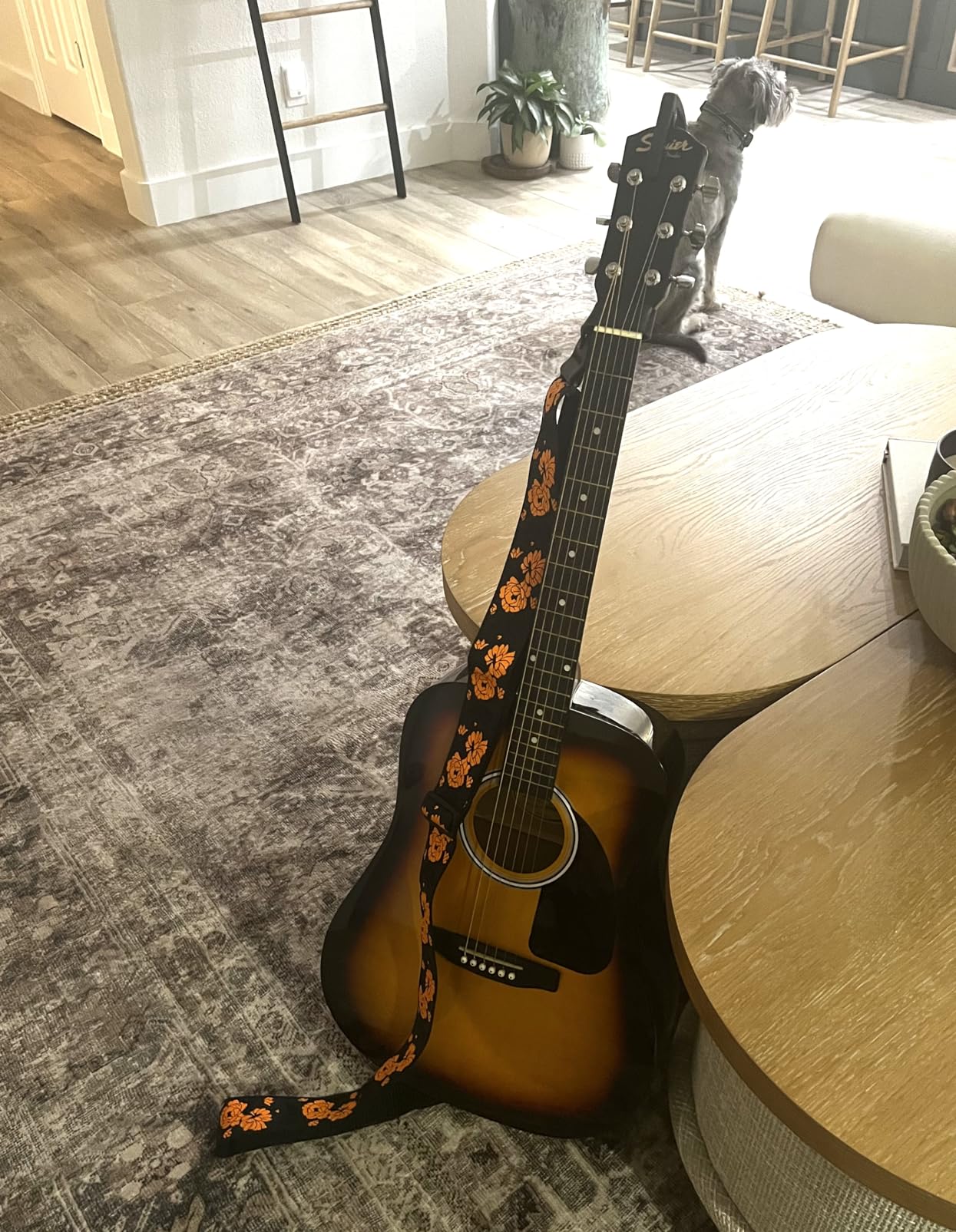 Fender Dreadnought Acoustic Guitar - Natural Bundle with Gig Bag, Tuner, Strings, Picks, and Austin Bazaar Instructional DVD customer photo 2