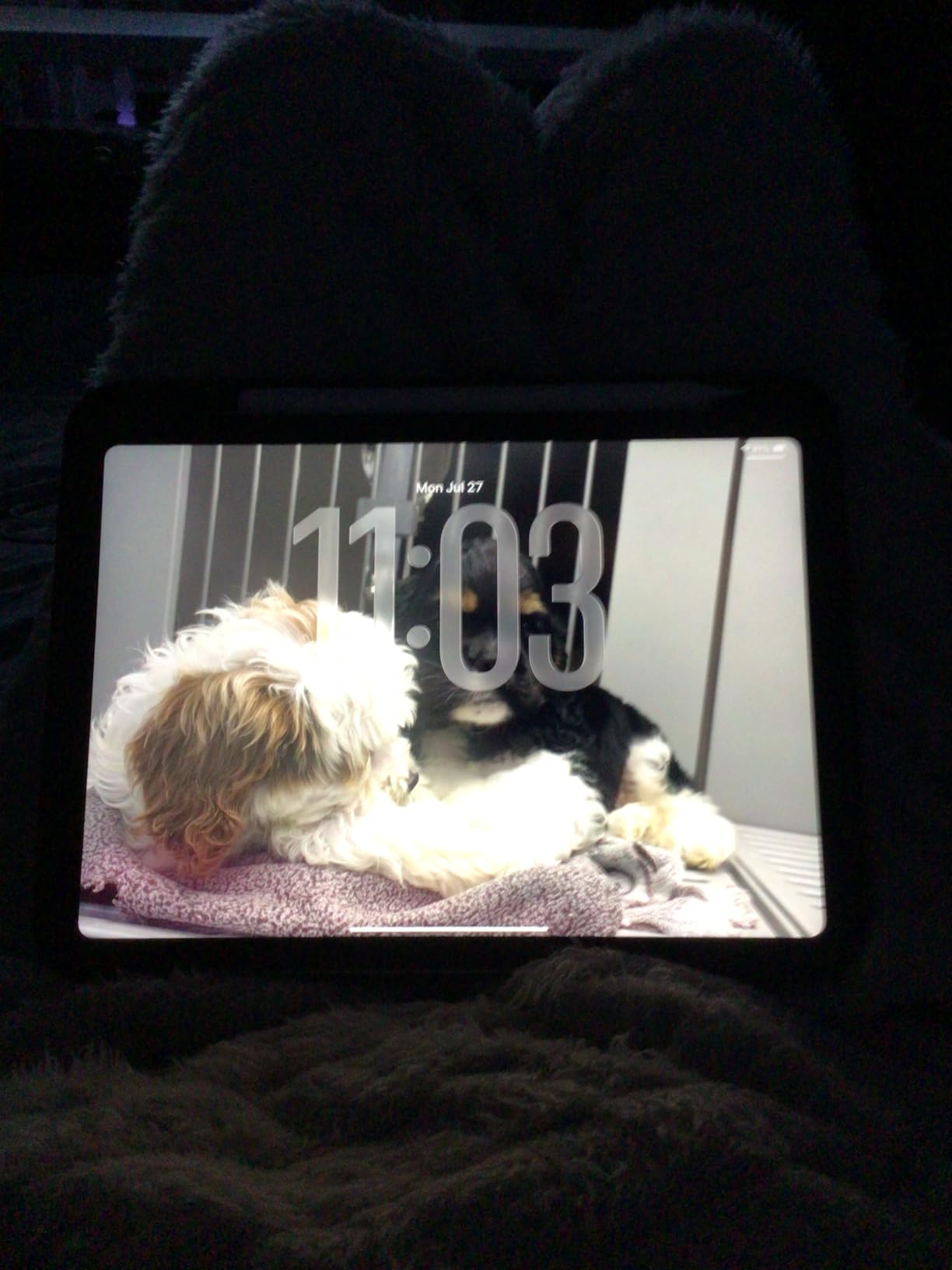 Apple 2022 iPad 10.9-inch, Wi-Fi, 64GB - Blue (Renewed) customer photo 1