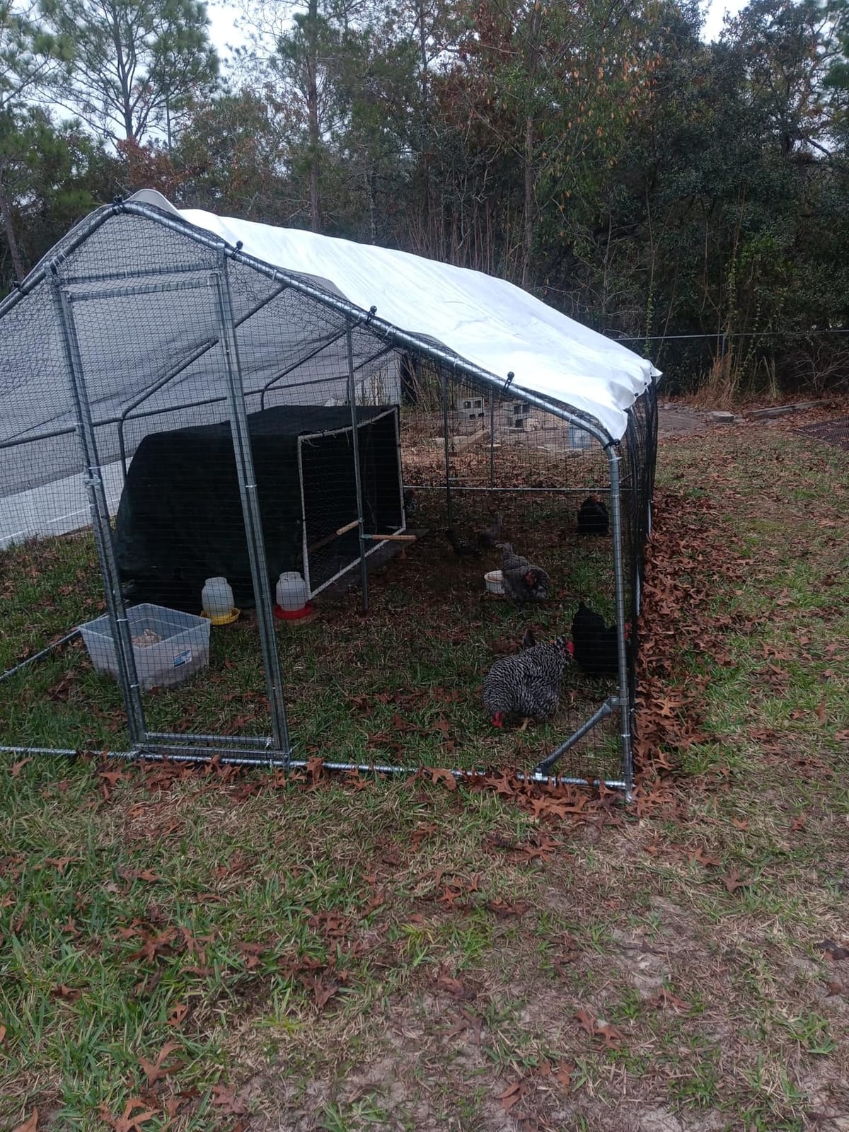 CHIKENCOOP 9.8 x 6.5 x 6.5 ft Metal Chicken Coop, Chicken Run with Cover customer photo 2