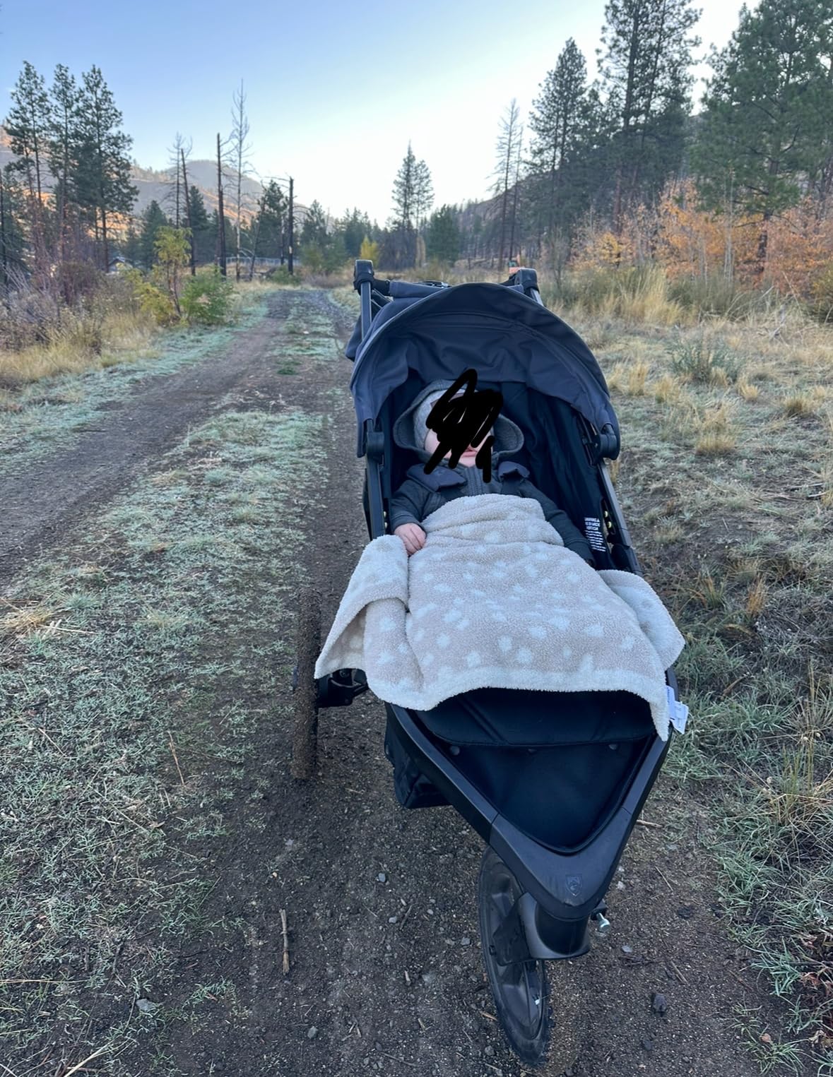 BOB Gear Wayfinder Jogging Stroller — Nightfall customer photo 2