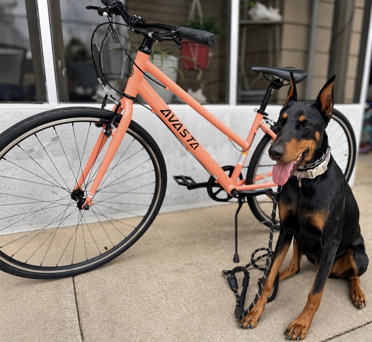 AVASTA Populus 700C Road Bike for Women with Kickstand, 15 17 Inch Lightweight Step Through Aluminum Alloy Frame, 7-Speed Drivetrain, Multiple Colors customer photo 1