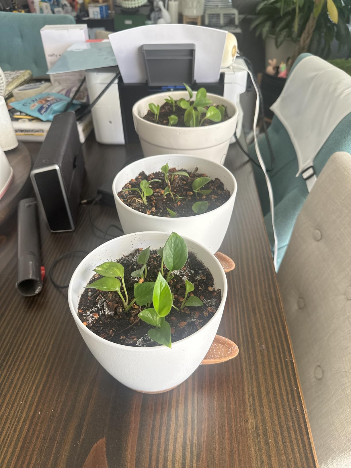 QRRICA 7/7.5/8/9/10 Inch Self Watering Pots for Indoor/Outdoor Plants customer photo 1