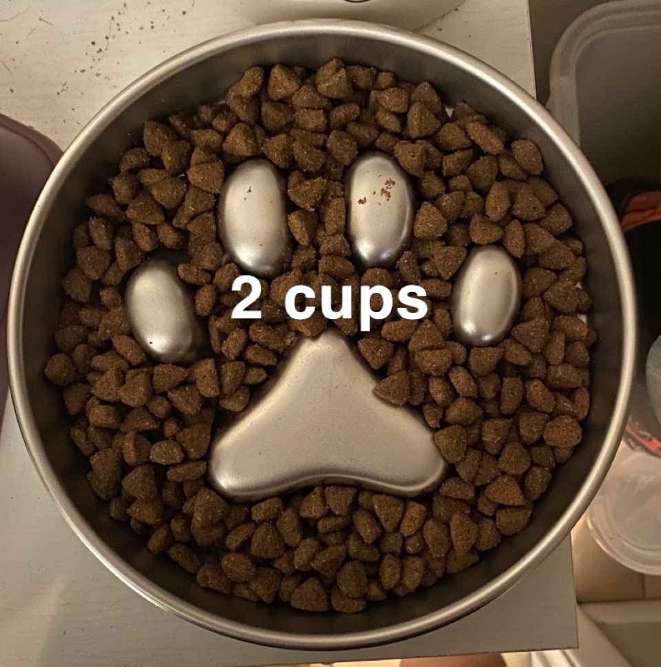 AIPERRO Slow Feeder Dog Bowl Stainless Steel, Metal Non-Slip Dog Food Bowls | 2 Cups for Small & Medium Dogs | Dogs Water Bowl | Fun Bloat Stop Pet Bowl for Fast Eaters | Slows Down Pets Eating customer photo 1