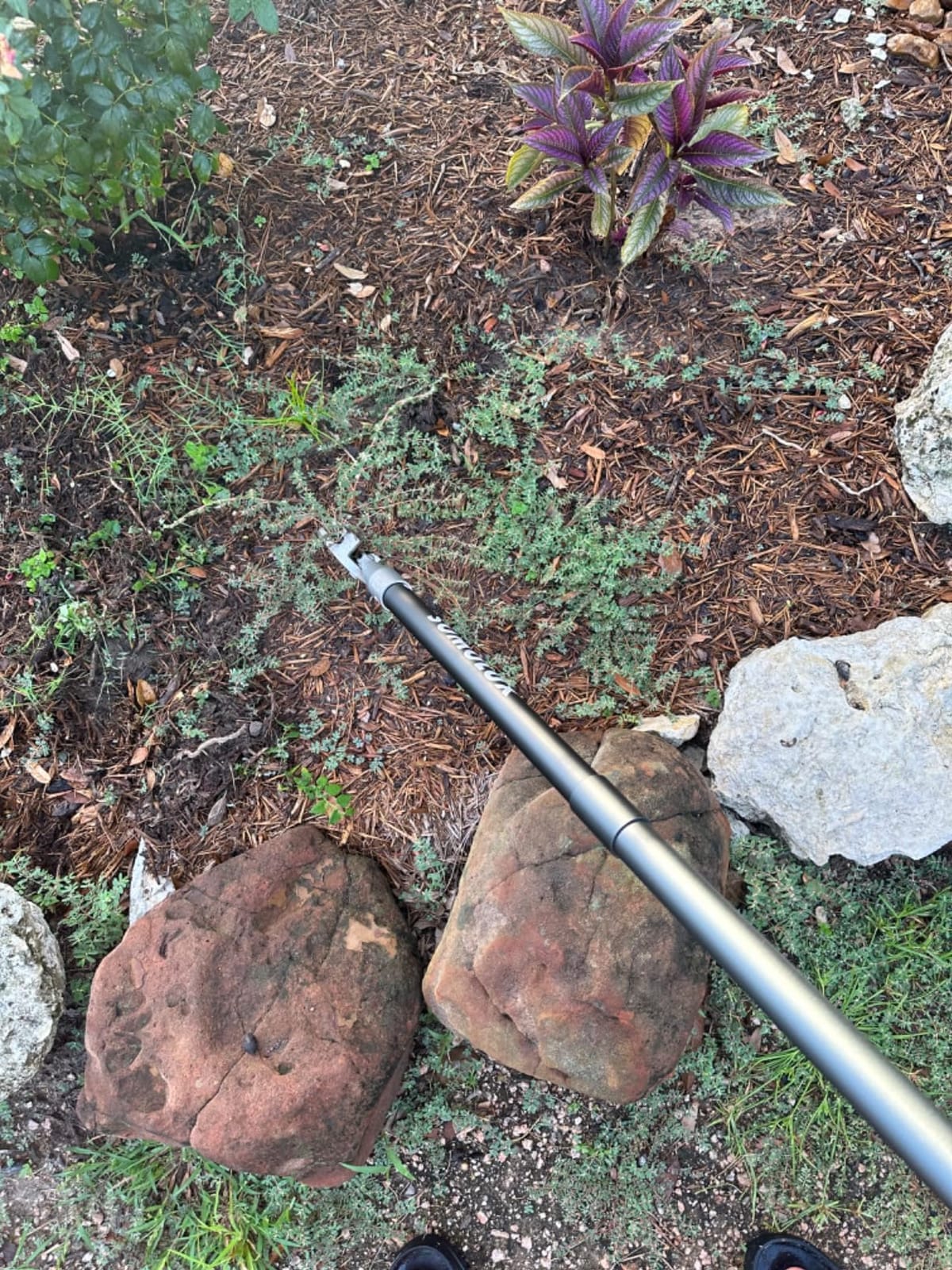 SOMOLUX 52'' Weed Puller Stand-up Weeder Weeding Tool for Gardening Heavy-duty Stainless Steel Claw with Long Metal Handle Weed Remove Tool for Lawn/Yard and Garden without Bending or Kneeling customer photo 1