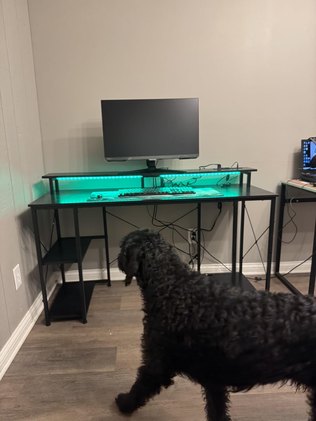 ODK 48 Inch Gaming Desk with LED Lights & Storage Shelves, Black customer photo 1