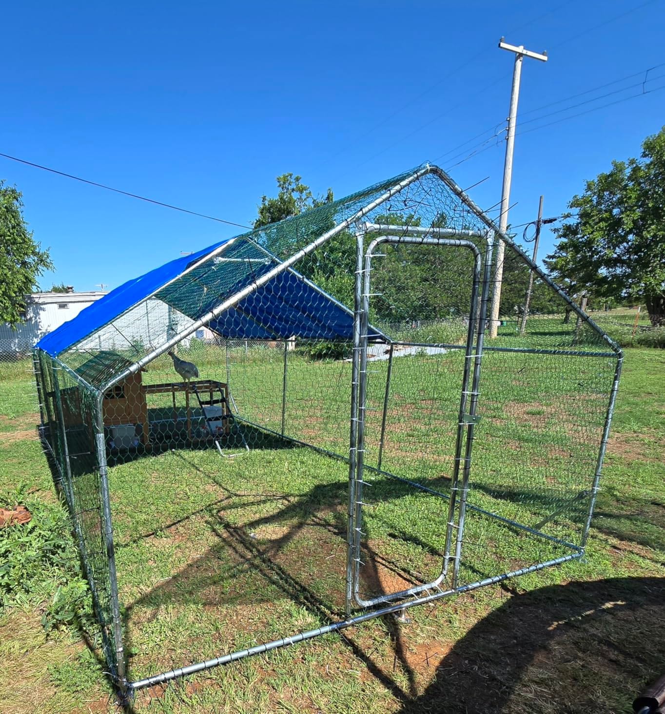 Sino Luban Large Metal Chicken Coop Run for 10 Chickens/Ducks, Chicken Runs for Yard with Waterproof Cover, Chicken Enclosure Chicken Pen Outdoor, Walk-in Poultry Cage (Upgrade Wall Support Brace) customer photo 2