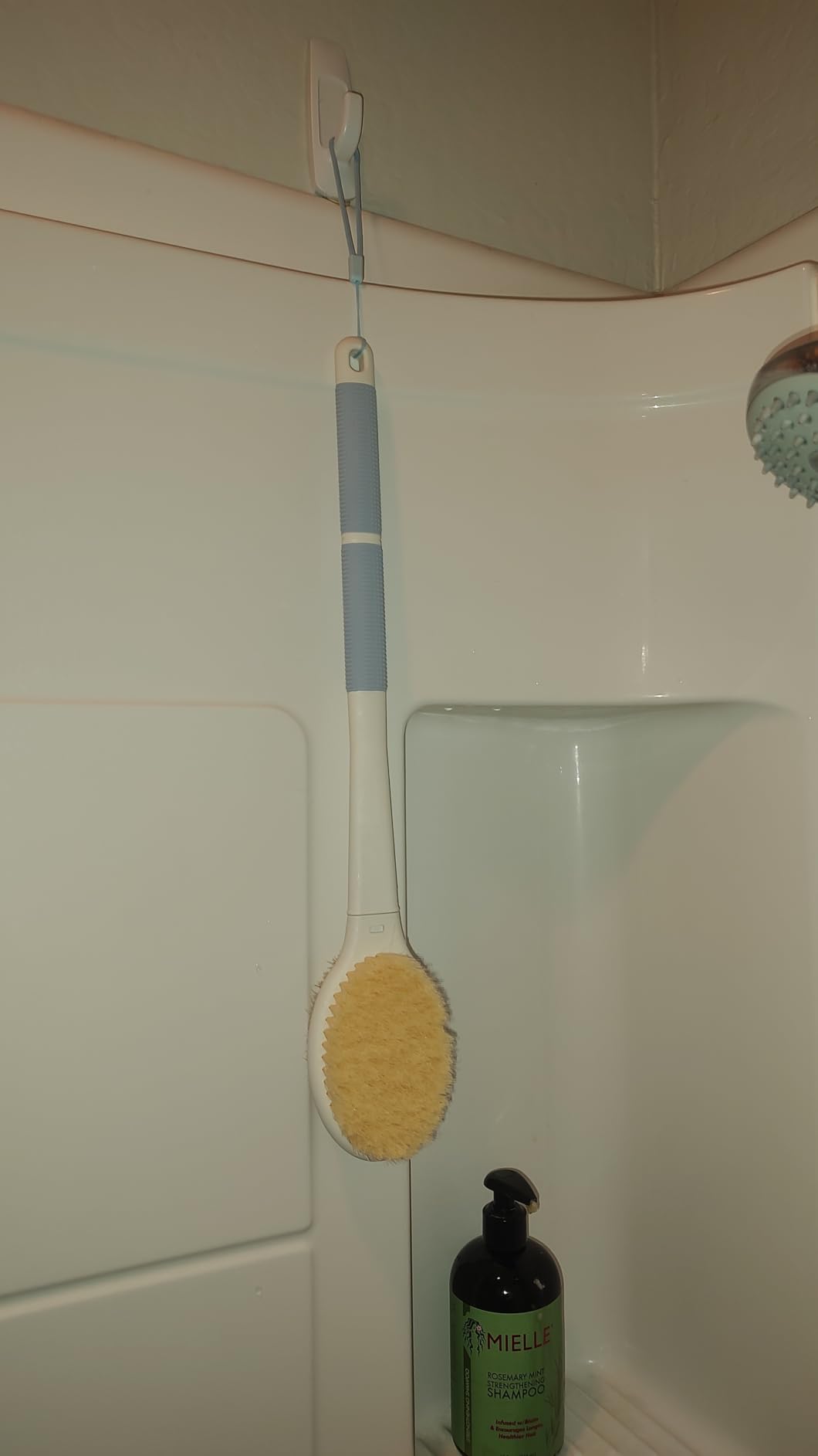 Back Scrubber Body Shower Brush: Anti Slip Long Handle Bath Brush with Stiff and Soft Bristles - Showering Exfoliator Wet or Dry Brushing for Women, Men, Elderly (Blue) customer photo 1