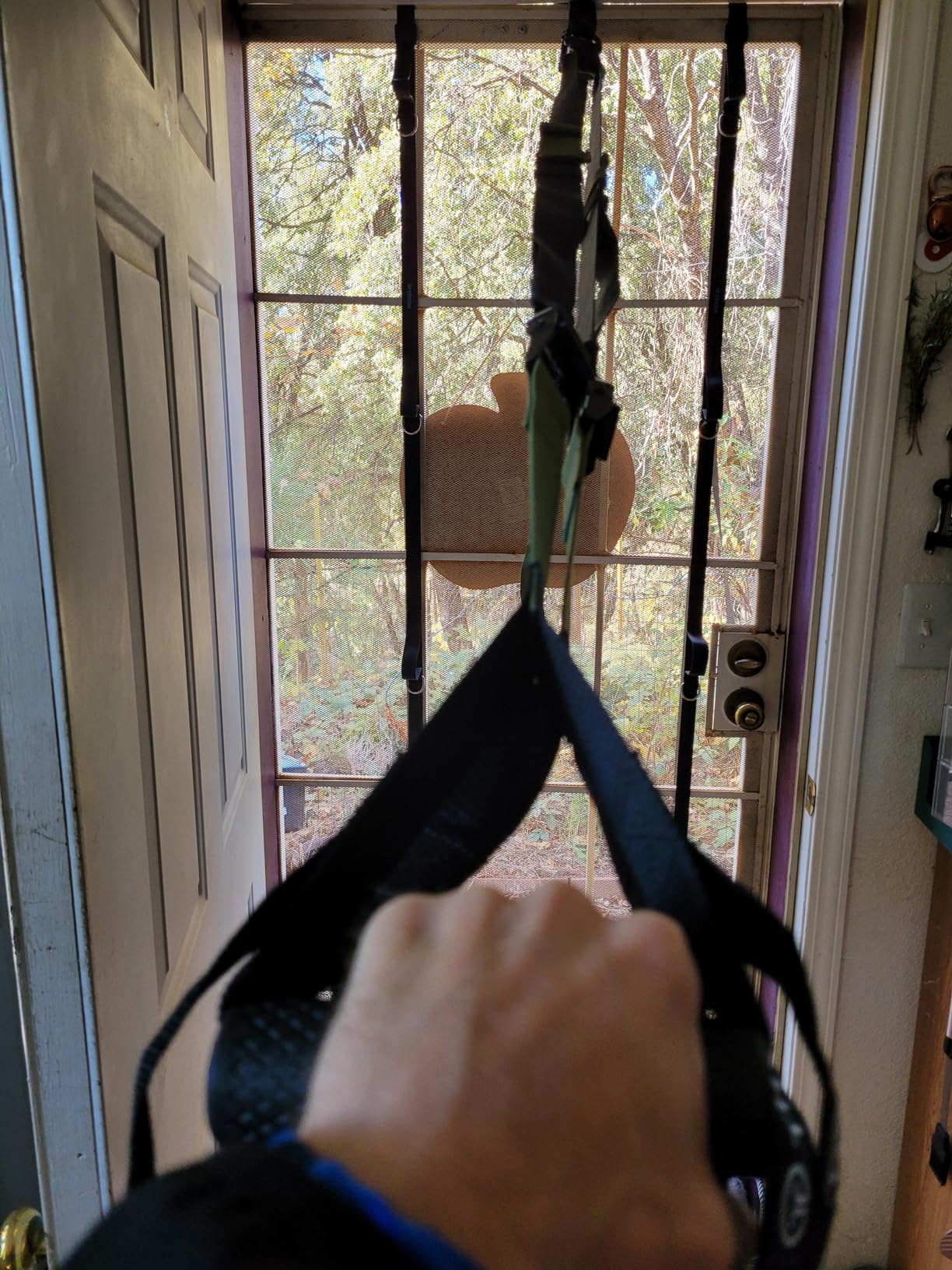 THYSOL Suspension Resistance Trainer PRO Suspension Straps with Door Anchor customer photo 1