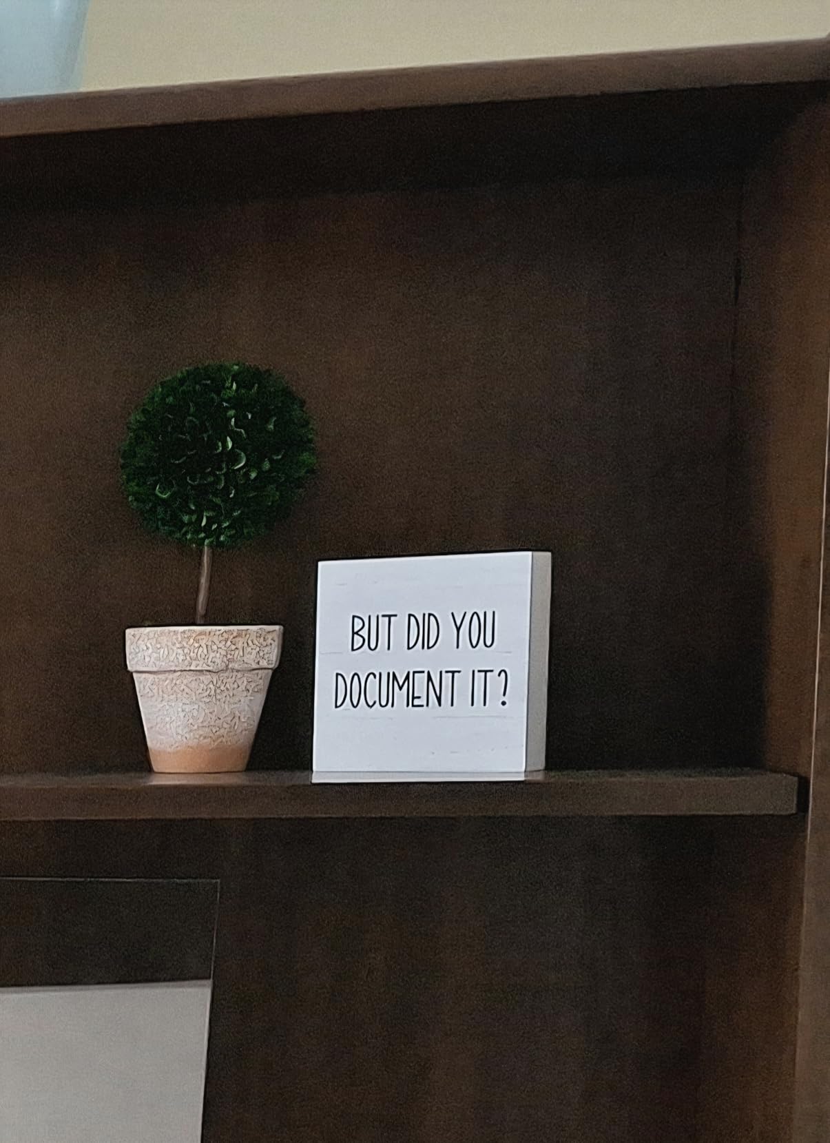 But Did You Document It Office Decor Wooden Box Sign Decorative Funny Office Wood Box Sign Home Rustic Farmhouse Square Desk Decor Sign for Shelf Office Desk Accessories 5 x 5 Inches customer photo 2