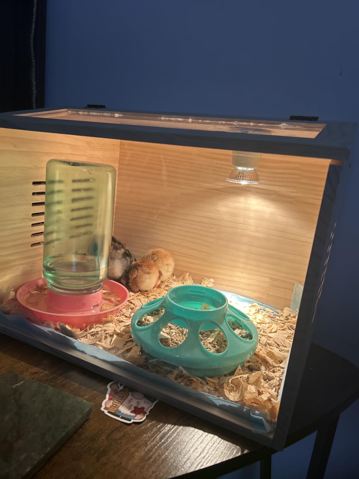 Brooder Box for Chicks, Chicken Brooder with Heater for Baby Poultry customer photo 1