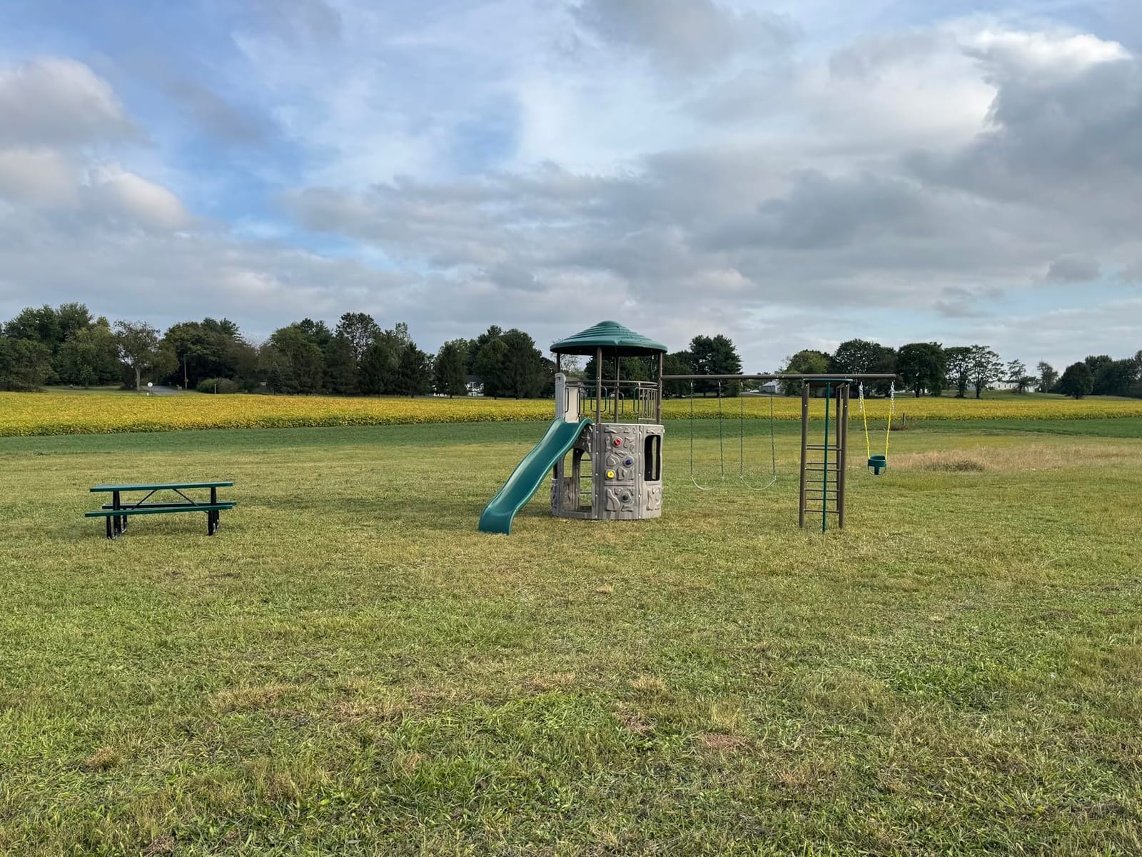 Lifetime Adventure Tower Deluxe Swing Set Playset Lifetime Adventure Tower, Covered Clubhouse, 9 ft Wavy Slide, Monkey Bars, Climbing Wall, Fireman’s Pole, Belt Swings & Trapeze customer photo 1