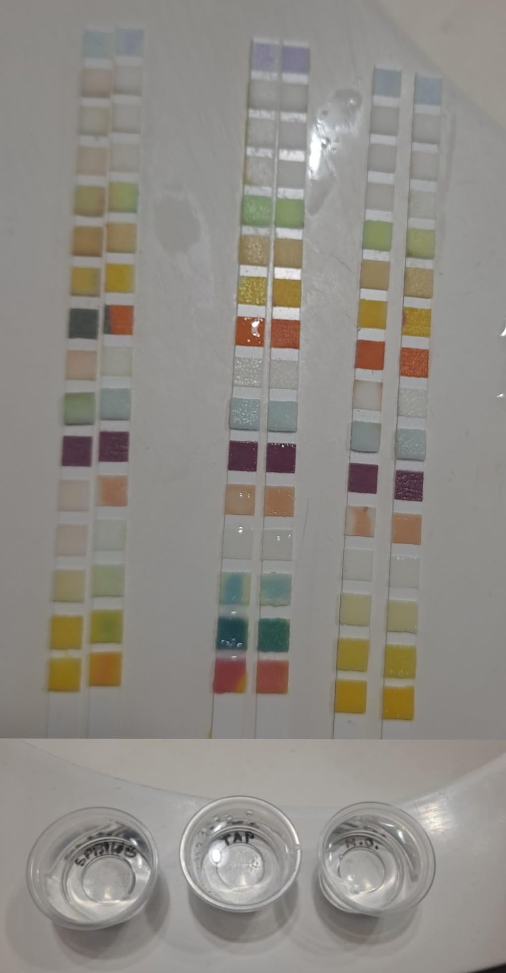 Bestprod All-New 21 in 1 Drinking Water Testing Kit Strips, Home Tap and Well Water Test Kit for Hardness, Lead, Iron, Copper, Chlorine, Fluoride customer photo 1