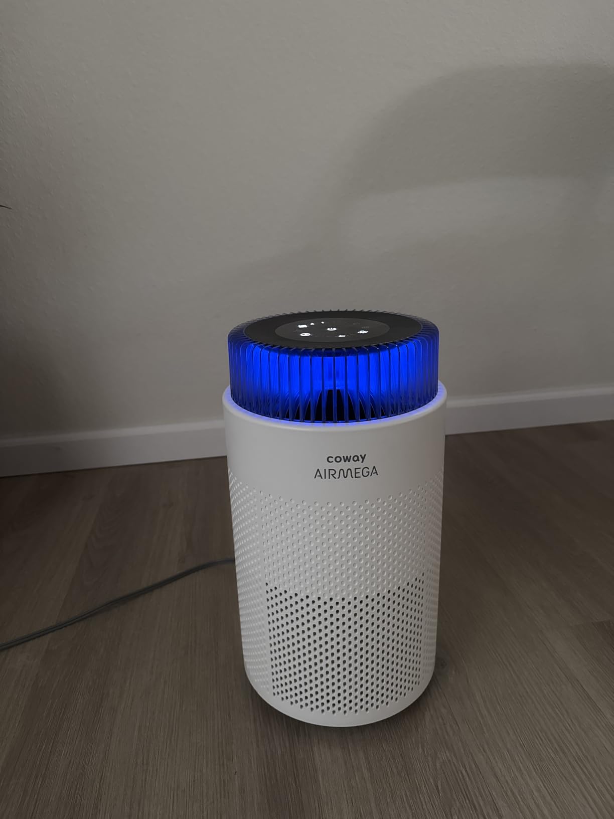 COWAY Air Purifiers for Home up to 810 ft², HEPA and Carbon Filter for Smoke, Allergies, Pet Dander, Odor, AQI Monitor, Auto Mode, Timer, Filter Indicator, Night Light, 2yr Warranty, Airmega 100 White customer photo 1