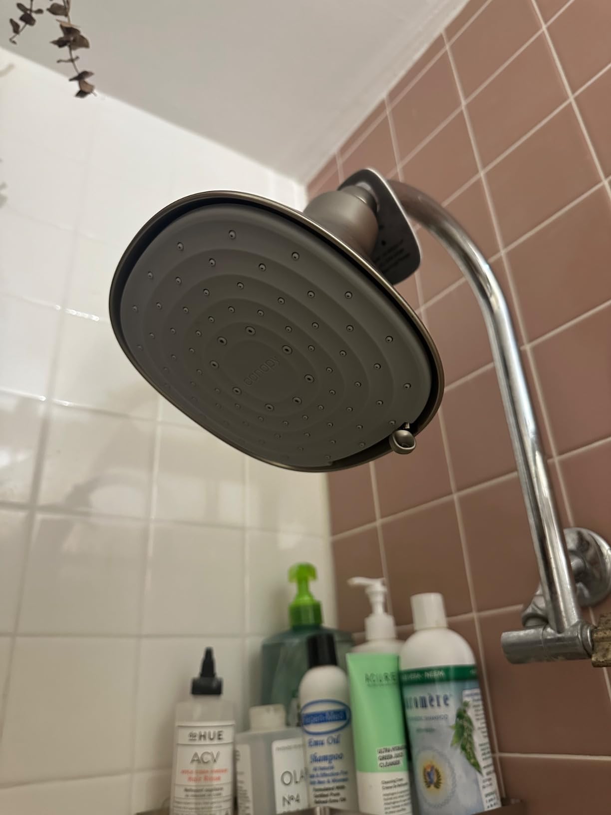 Canopy Filtered Shower Head - High Pressure Shower Head Filter for Hard Water - Shower Filter To Remove Impurities for Healthier Scalp, Skin & Hair - Support Hair Growth & Minimize Breakage - Nickel customer photo 1