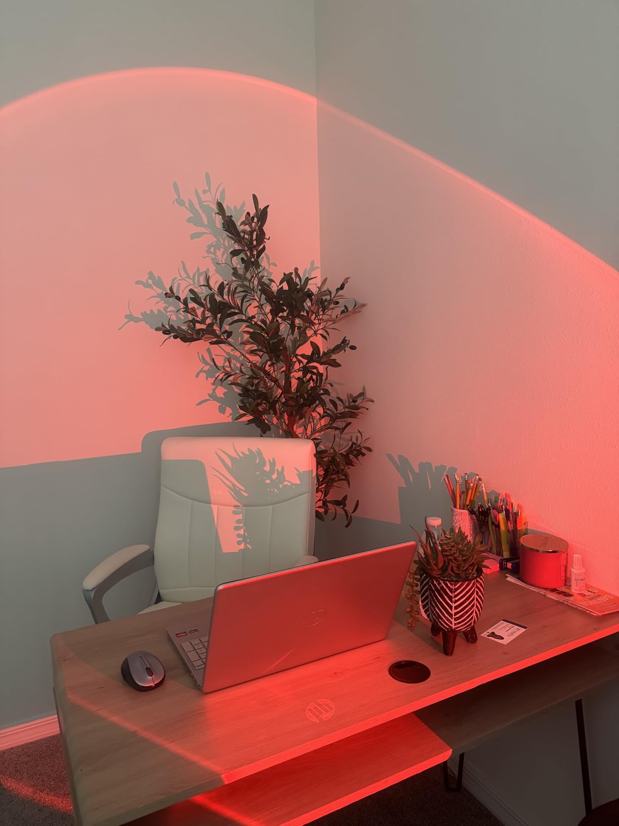 Neroupe Sunset Lamp Projector with APP & Button Control LED Night Light customer photo 2