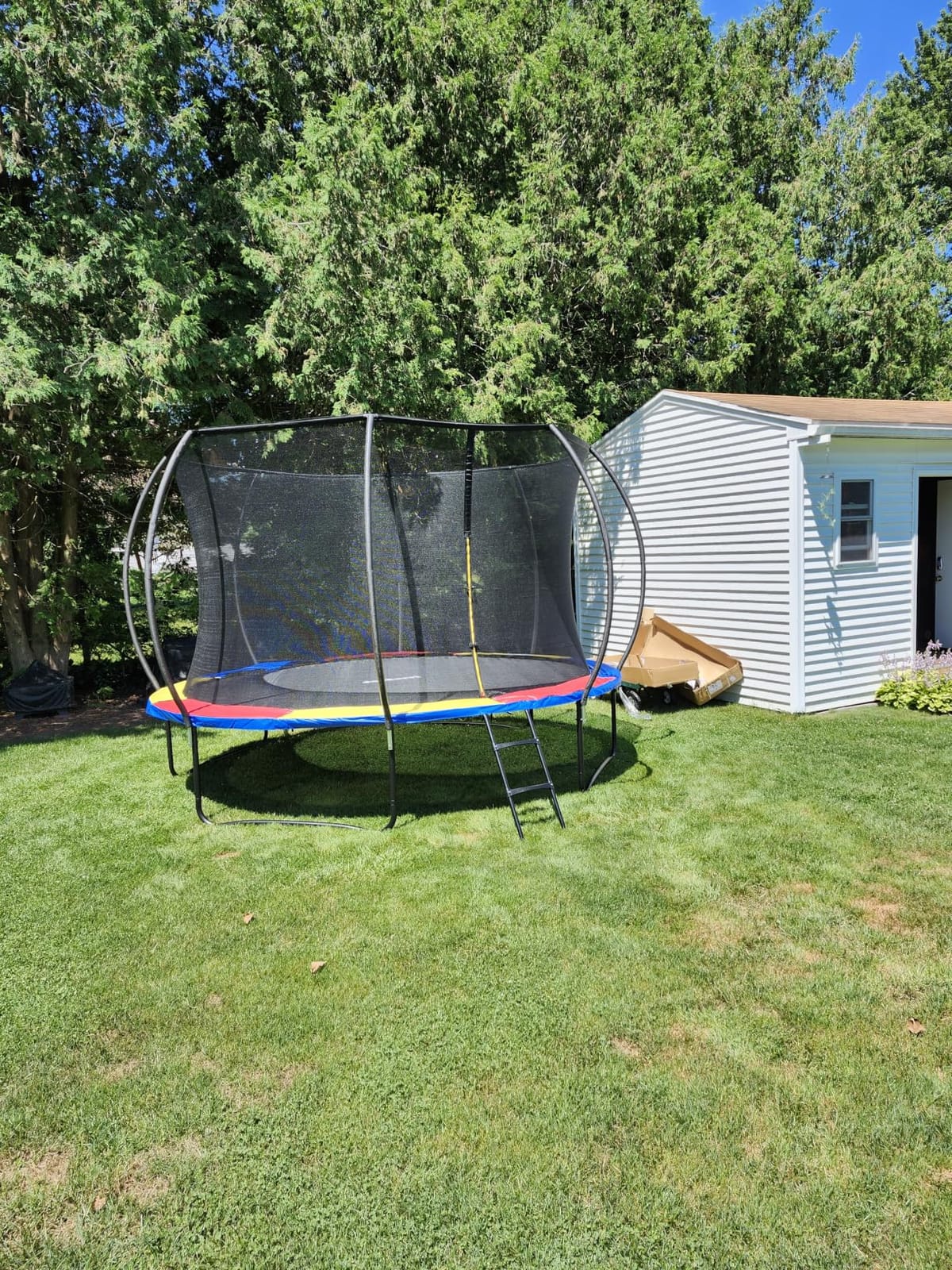 JoyBerri Outdoor Trampoline – with LED Lights, Net, Ladder, ASTM Certified customer photo 1