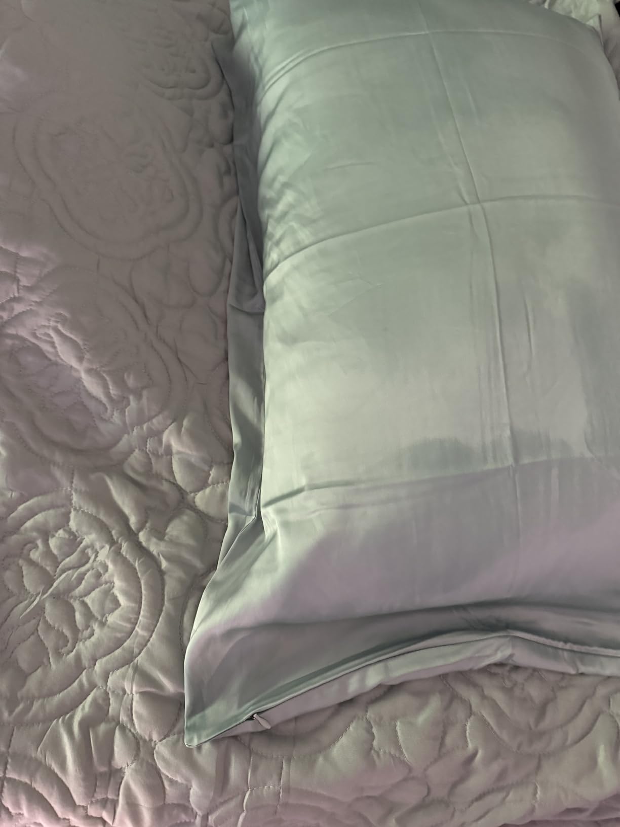 Gabire Mulberry Silk Pillow Cases Set of 2, Both Sides Real Silk Pillowcase for Hair and Skin Prevent Acne Pillowcase Organic Silk Pillowcases 2 Pack with Hidden Zipper, White, Standard (20