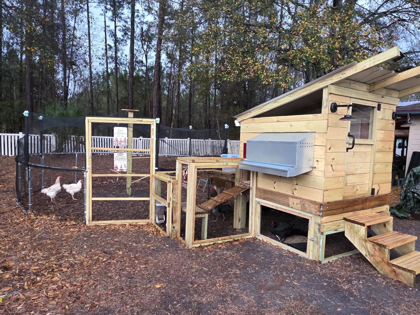 Hen's Choice™ - Roll Out Nest Box for Chickens | Roll Away Nest Box | 3 Compartment 36