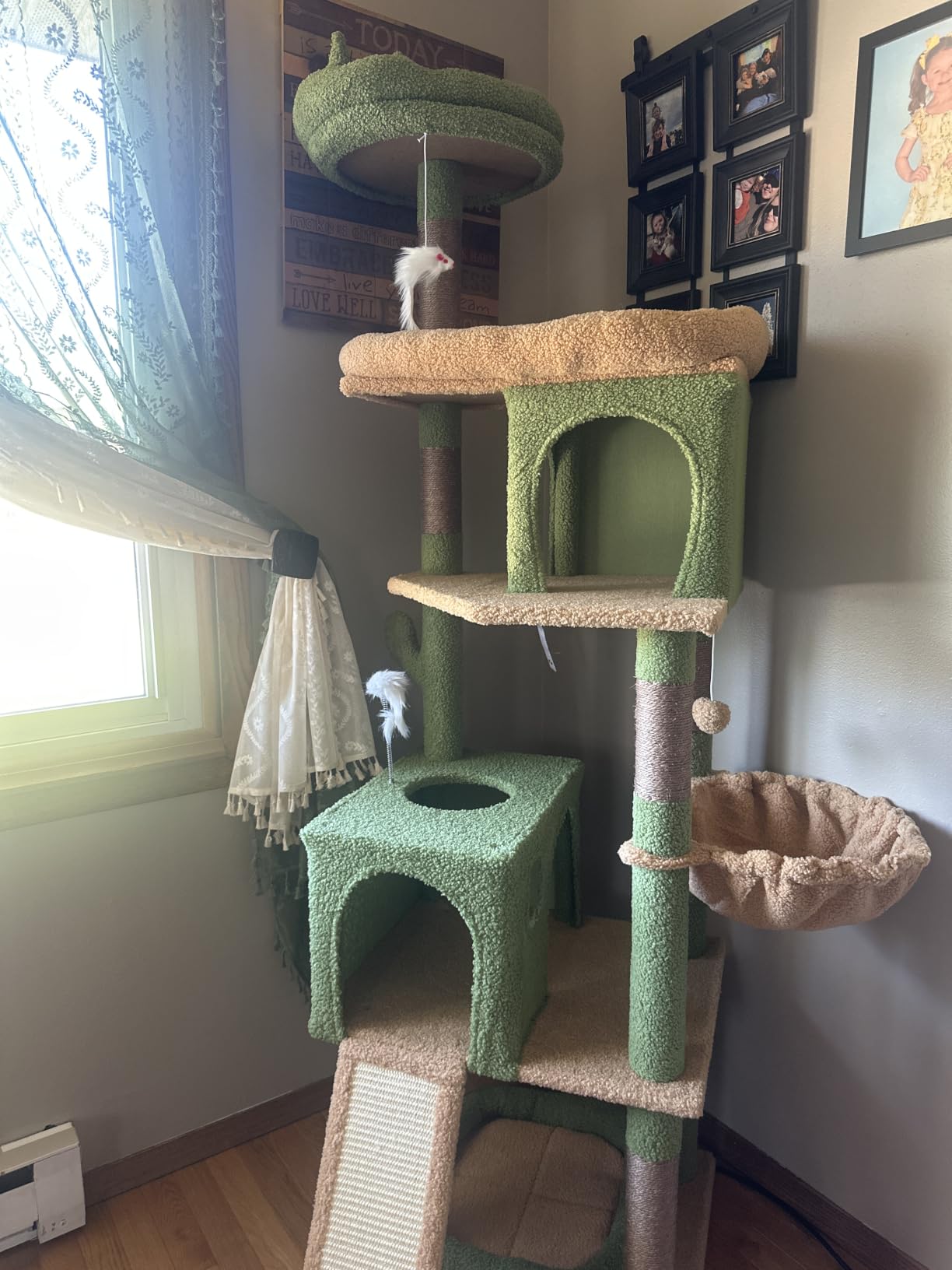 Globlazer S72 Heavy Duty Cat Trees for Large Cats 20 lbs+, Dark Gray customer photo 1