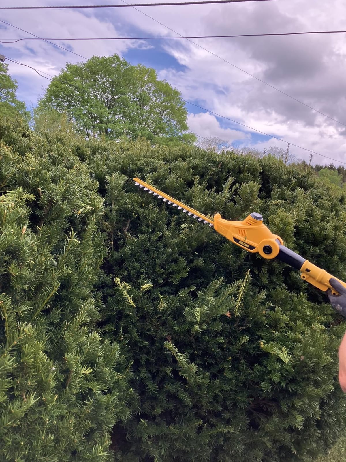 Alloyman 20V MAX Pole Hedge Trimmer,Telescoping Pole Hedge Trimmer,with 2 Packs 4.0Ah Batteries & Charger,8 Feet Hedge Trimmer for Shrubs Pruning customer photo 1