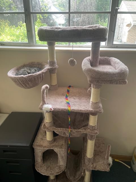 Gitelsnour Cat Tree, 63'' Cat Tower for Large Cats, Big Hammock GCT020W customer photo 1