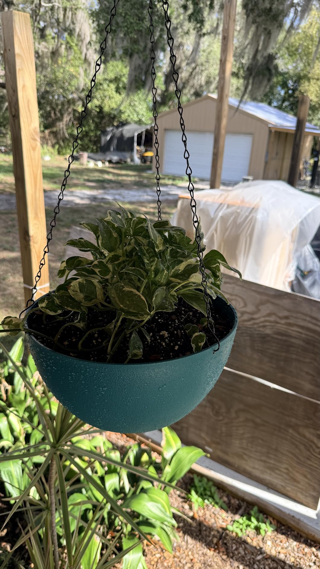 WSMKSZ 10inch Hanging Planters for Outdoor Indoor Plants with Drainage Holes and Chain, 2 Pack Round Hanging Flower Pots for Garden Home Porch Decor, Black with Green Speckles customer photo 1