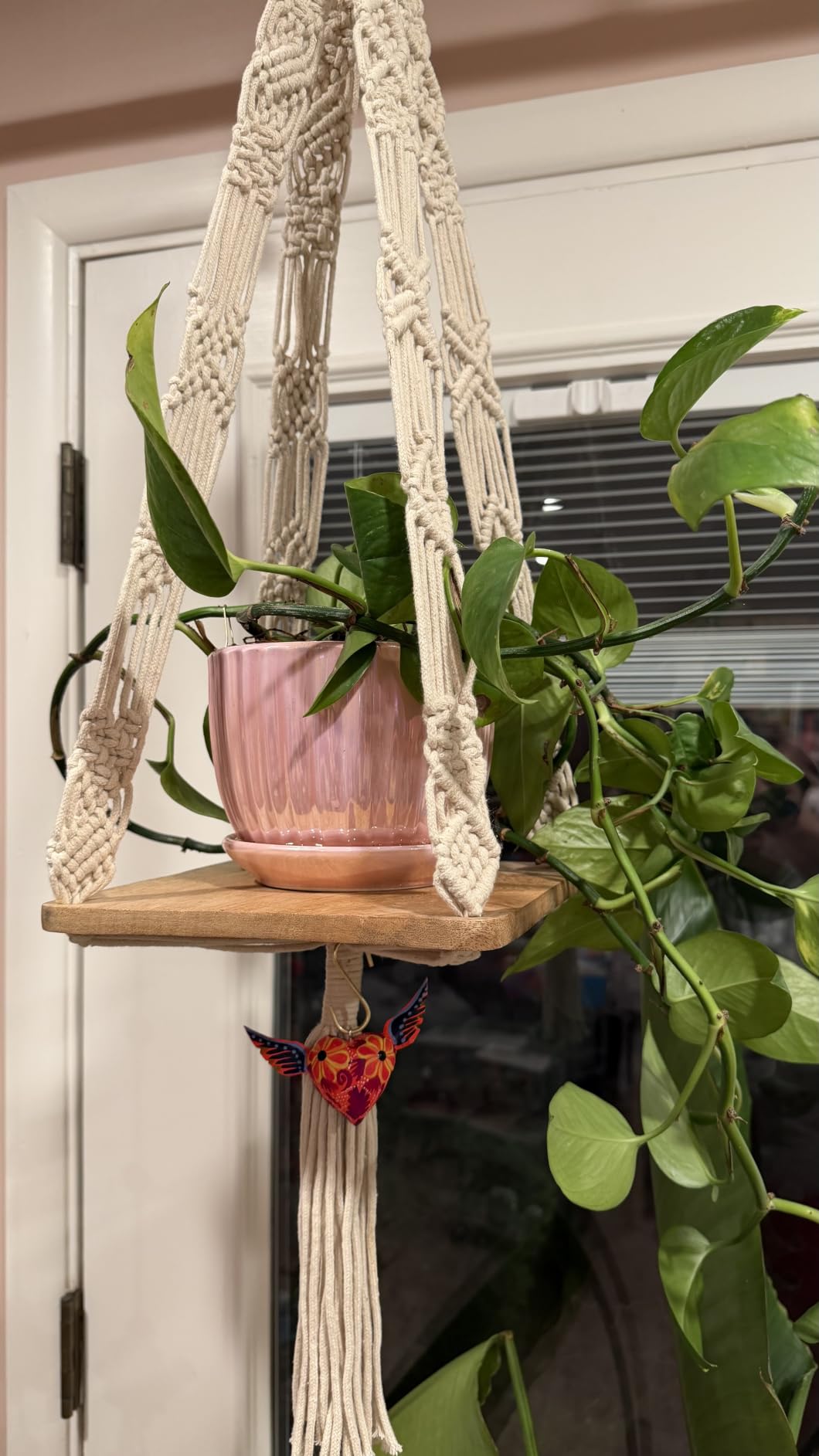 Green Plant Pots,Ceramic Planters with Drainage Holes & Saucers Set of 3 customer photo 2