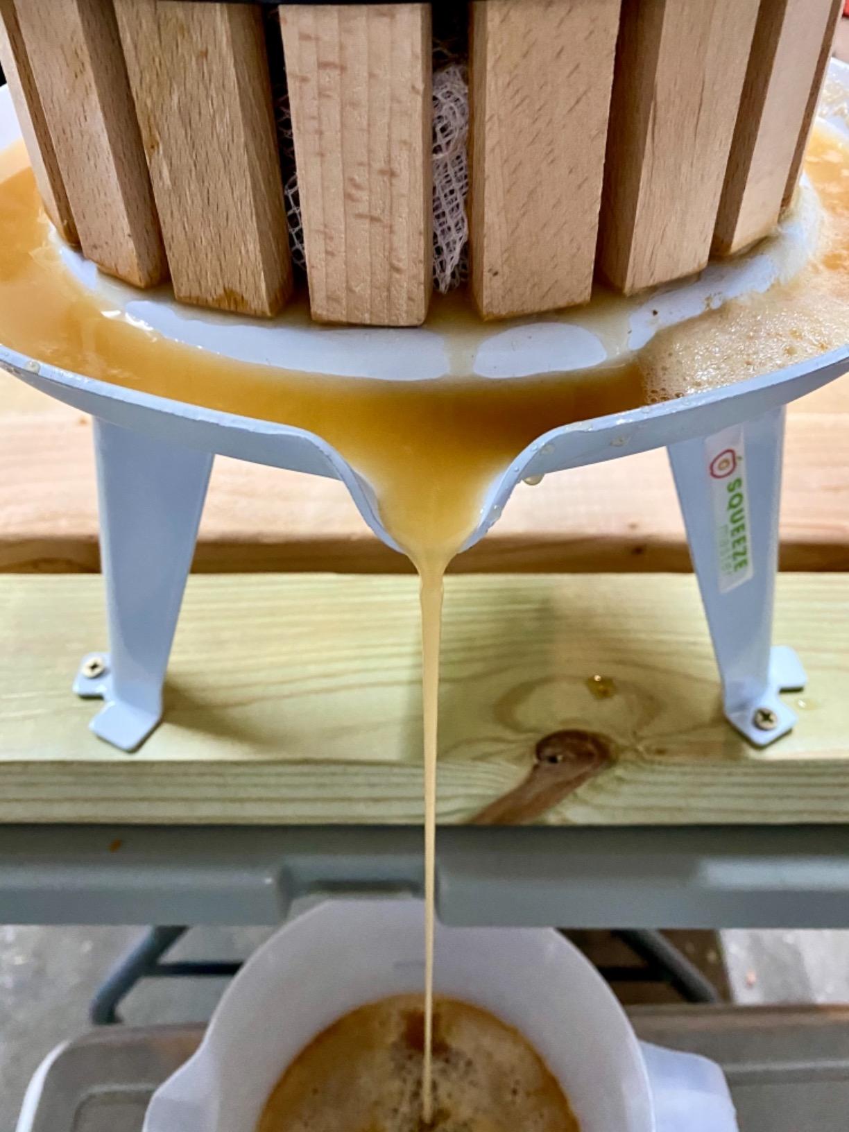 SQUEEZE master Fruit Apple Cider Wine Classic Press-Blue-1.6 Gallon/6L-Solid Wood Basket-Vintage traditional juicer-Pole Handle Bar for Juice,Wine,Cider-1 free filter bag included customer photo 2
