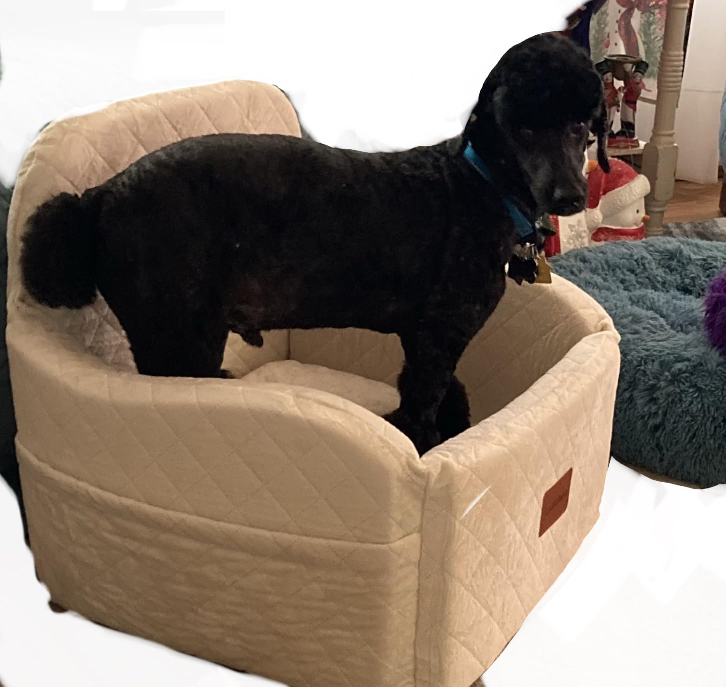 Lealchum Dog Booster Car Seat for Small/Medium Dogs Up to 35lbs,Elevated Cushion Fits in Front/Back Seat,Fully Detachable and Washable,2 Storage Pockets & Dog Leashes,Easy to Install(Black,Medium) customer photo 1
