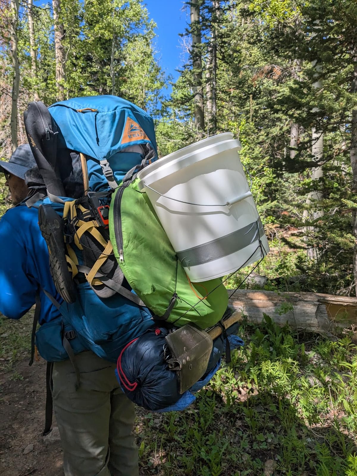Kelty Coyote 60-105 Liter Internal Frame Backpack - Hiking, Backpacking, Travel, Adjustable Torso (65L / Black) customer photo 1
