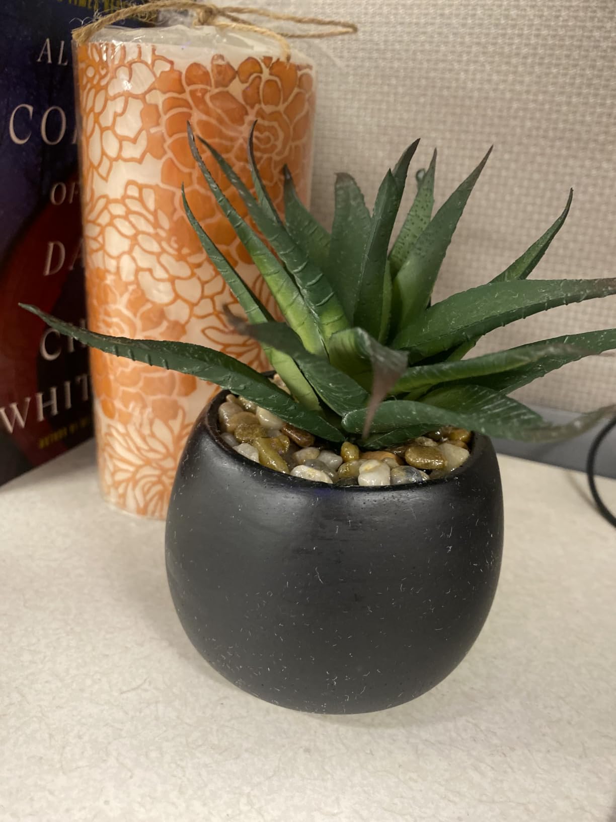 Winlyn Set of 3 Assorted Artificial Succulent Plants in White Concrete Pots Faux Aloe Hops String of Pearls Potted Plants Small Fake Plants for Home Garden Office Desk Counter Shelf Windowsill Decor customer photo 2