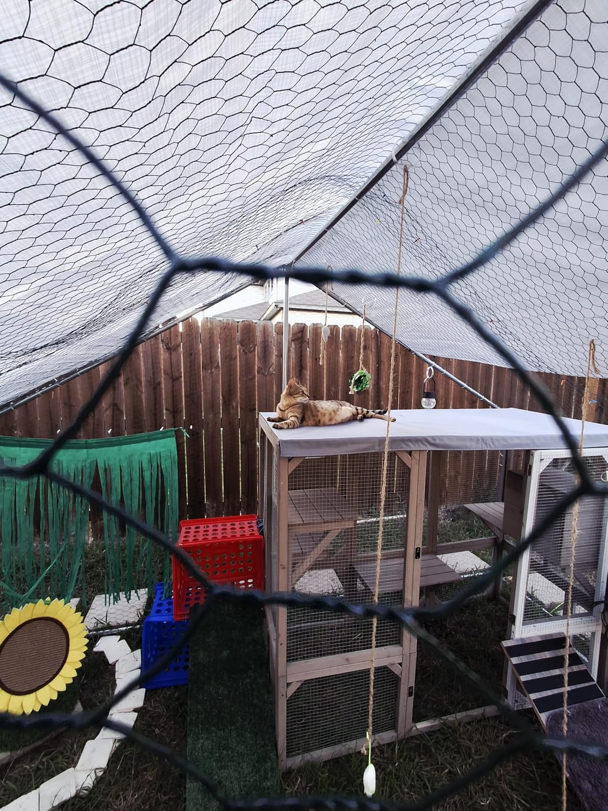 Large Metal Chicken Coop Round Top Upgrade Tri-Supporting Wire Mesh Chicken Run,Chicken Pen with Water-Resident and Anti-UV Cover,Duck Rabbit House Outdoor (25'L x 9'W x 6.5'H) customer photo 1