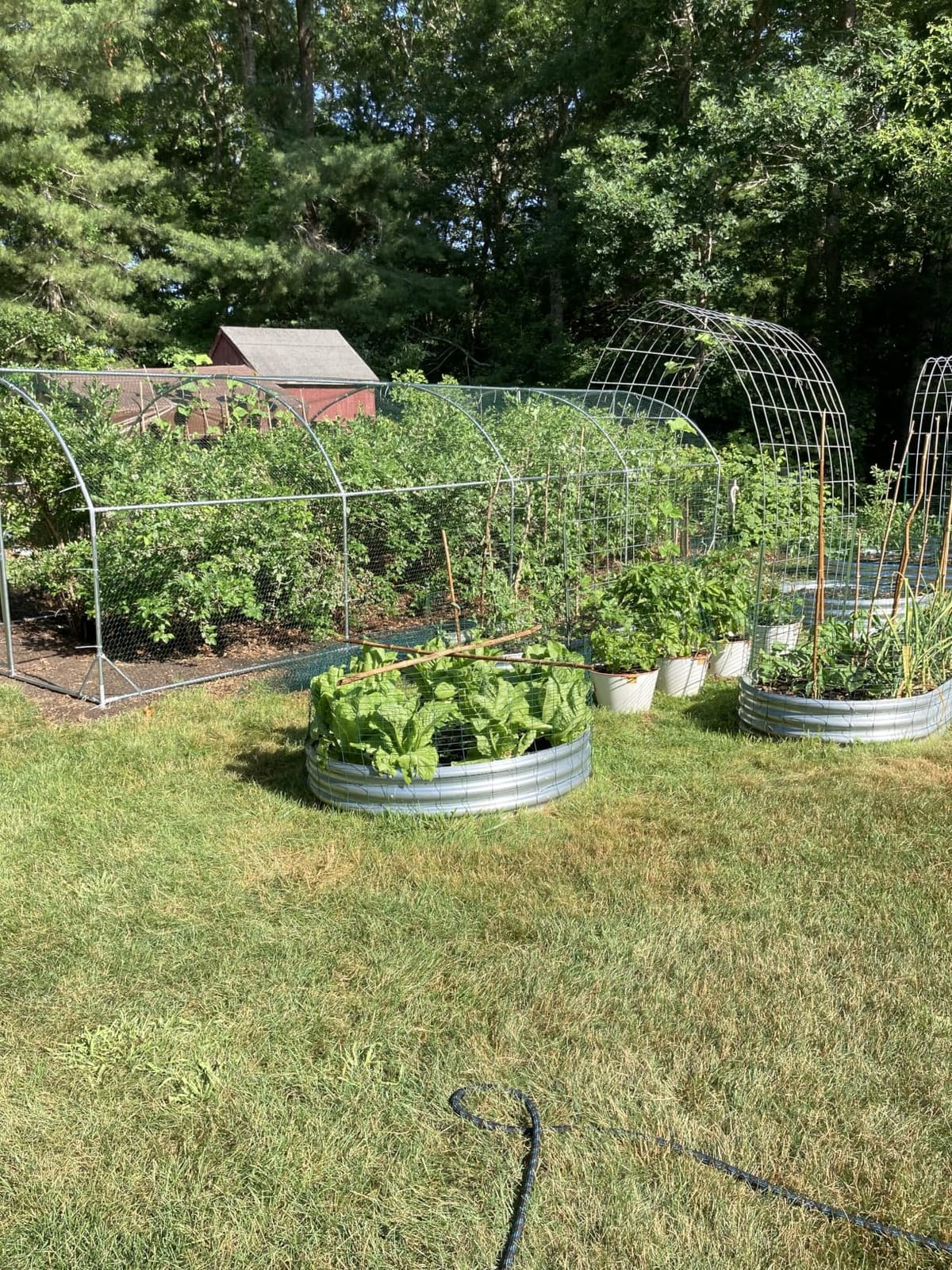 Large Metal Chicken Coop Round Top Upgrade Tri-Supporting Wire Mesh Chicken Run,Chicken Pen with Water-Resident and Anti-UV Cover,Duck Rabbit House Outdoor (25'L x 9'W x 6.5'H) customer photo 2
