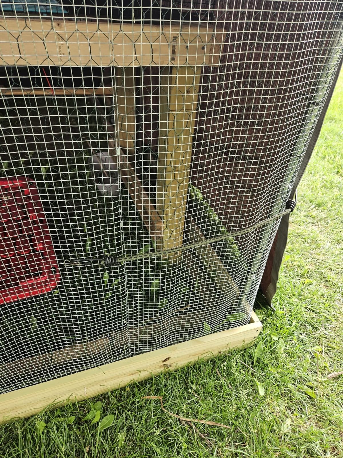 VEVOR Large Metal Chicken Coop, 19.7x9.8x6.5ft Walk-in Chicken Runs for Yard with Cover, Spire Roof Hen House with Security Lock for Outdoor and Backyard, Farm, Duck Rabbit Cage Poultry Pen customer photo 1