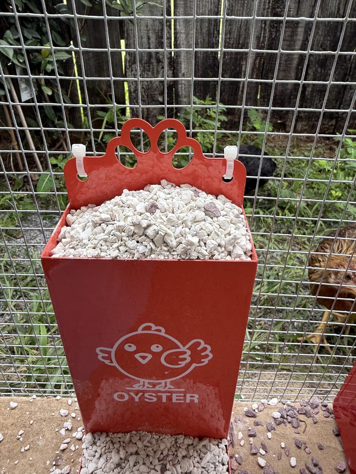 Rat Proof MAX-25Lbs Treadle Chicken Feeder No Waste Poultry Feeder customer photo 2