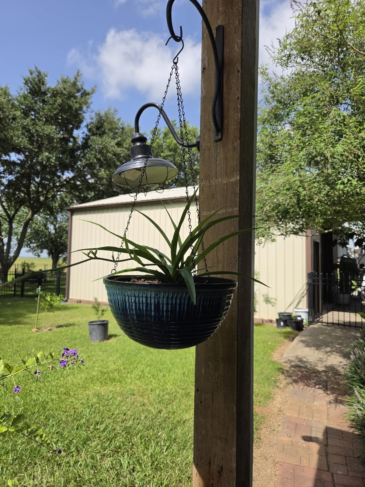 10 Inch Hanging Planters, Glazed Hanging Basket with Drainage Holes, 2 Pack customer photo 2