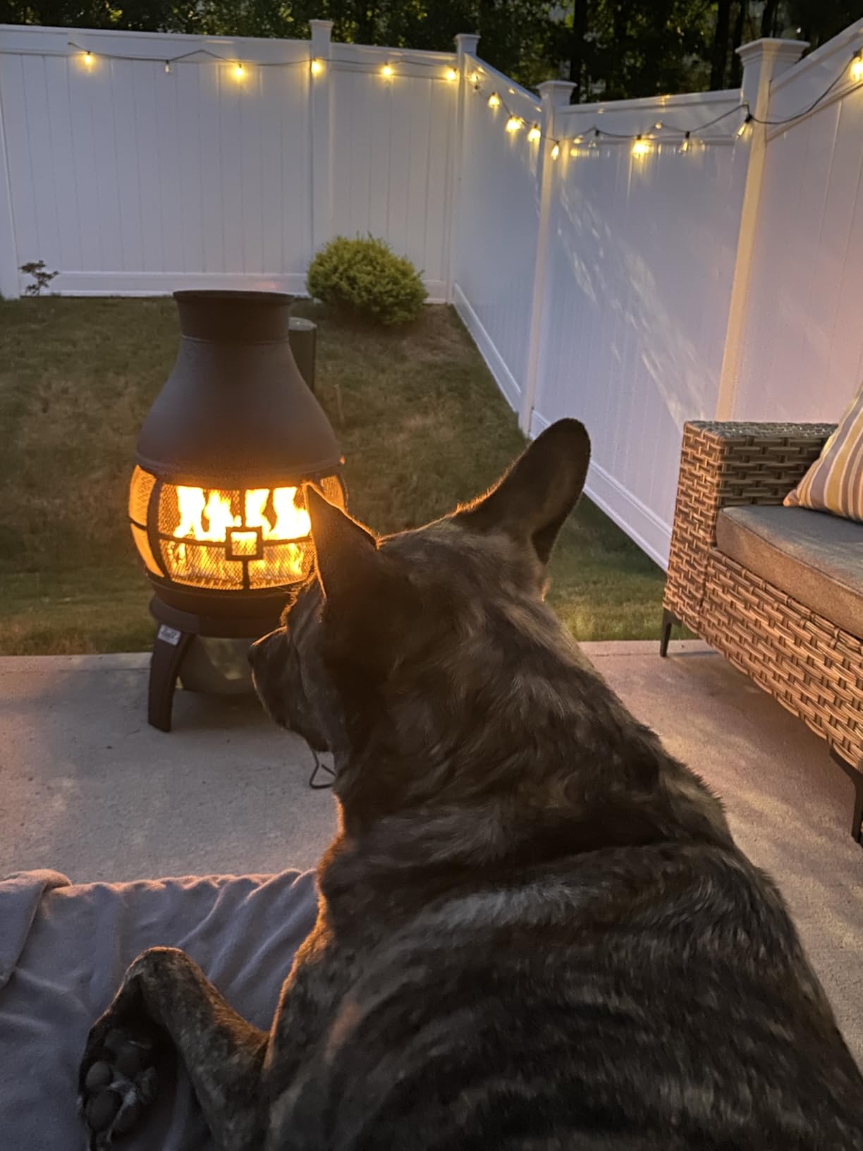 BALI OUTDOORS Fire Pit Wood Burning Chiminea Outside customer photo 1