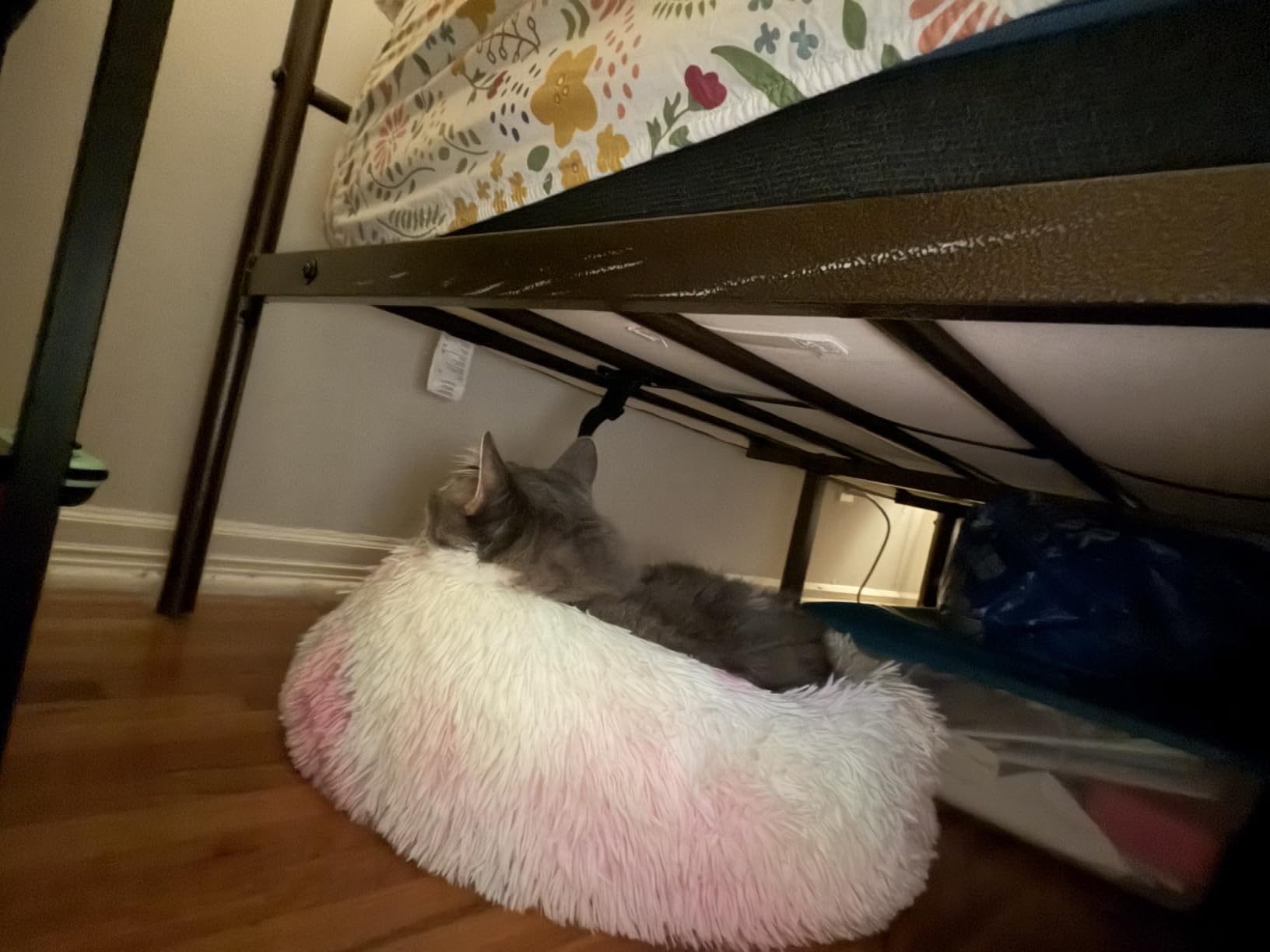 JOLLYVOGUE Calming Dog Bed Medium Size Dog, 31in Donut Washable Medium Pet Bed, Anti-Slip & Anti-Anxiety Fluffy Faux Fur Round Dogs Bed, Fits up to 45 lbs Pets (Smoke Grey) customer photo 1