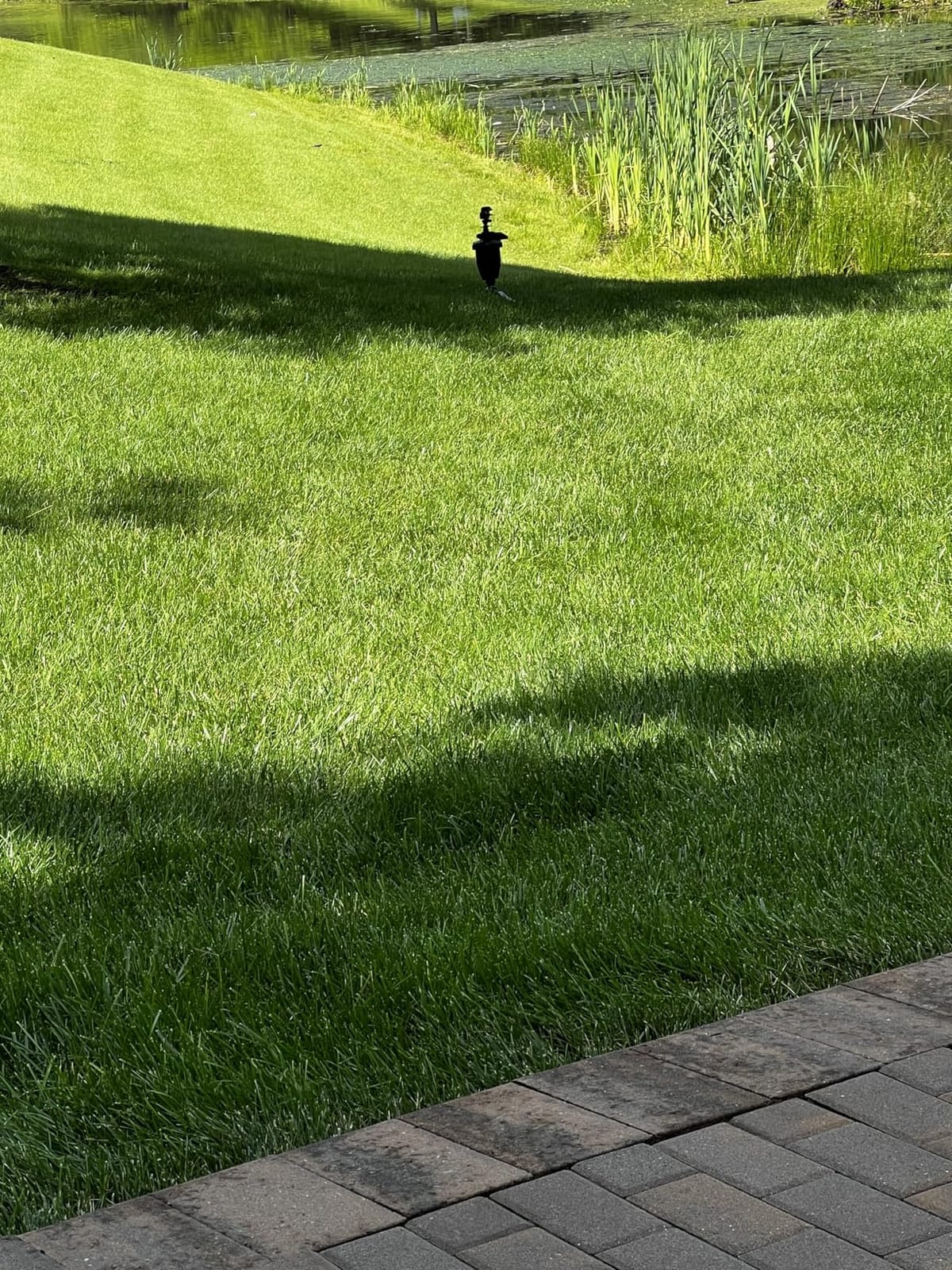 Motion Activated Sprinklers for Yard - Effective Deer & Cat Repellent, Skunk Deterrent, Raccoon & Dog Repellent, Lawn Sprinkler System, Water Sprinkler for Lawn Protection customer photo 1