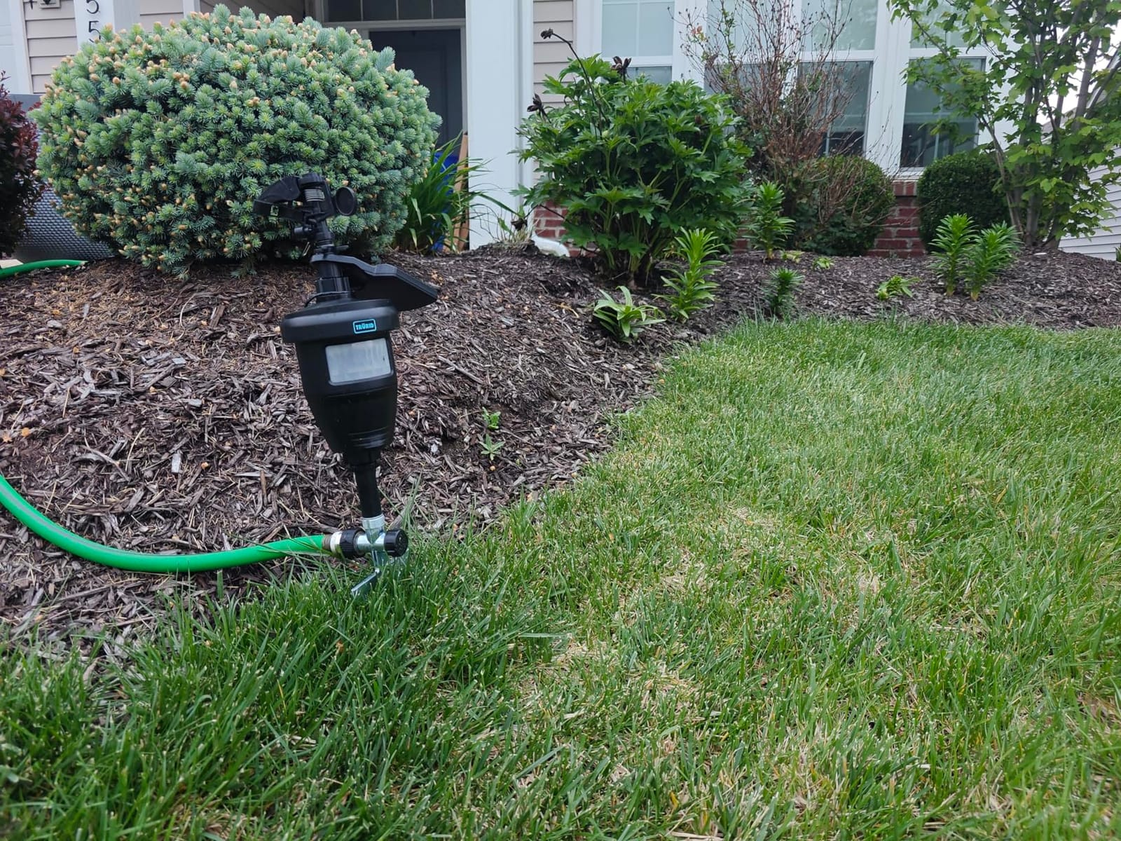 Motion Activated Sprinklers for Yard - Effective Deer & Cat Repellent, Skunk Deterrent, Raccoon & Dog Repellent, Lawn Sprinkler System, Water Sprinkler for Lawn Protection customer photo 2
