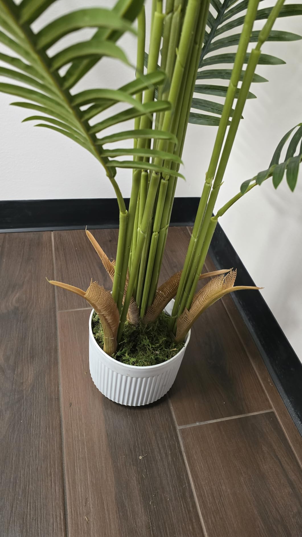 6FT Artificial Palm Tree Indoor with White Pot, Realistic Leaves, 15 Trunks Adjustable Branches, Tall Faux Fake Palm Plant, Ideal for Living Room Bedroom Office Home Interior Aesthetic Decor customer photo 1