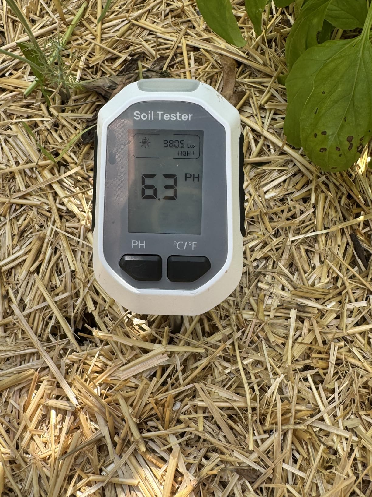 YAMRON 4-in-1 Soil Moisture Meter Digital Plant for Indoor & Outdoor Plants customer photo 1